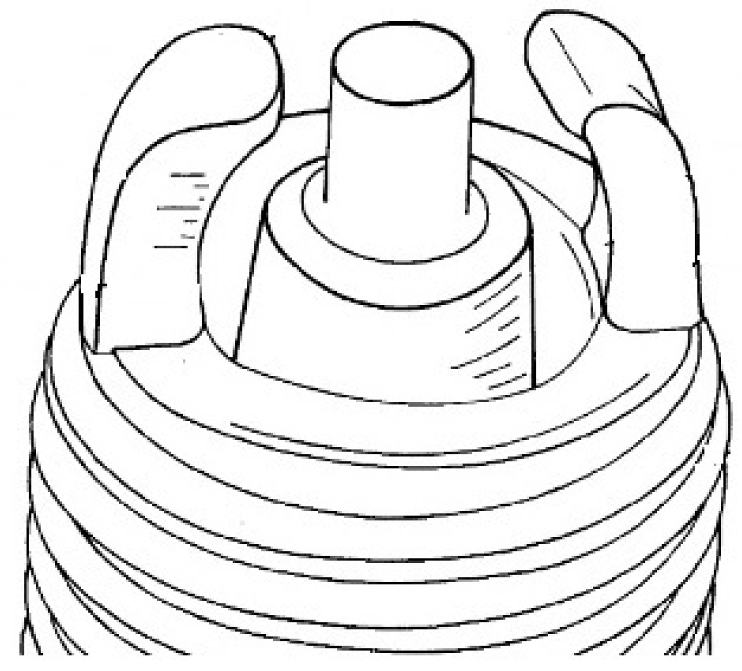 Processes 13 00718 g006