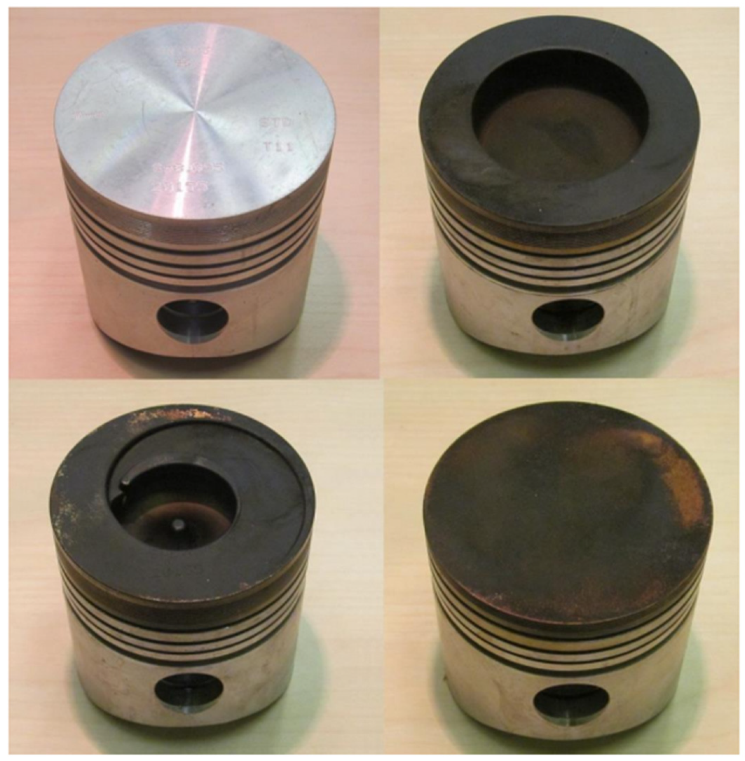 Processes 13 00718 g014