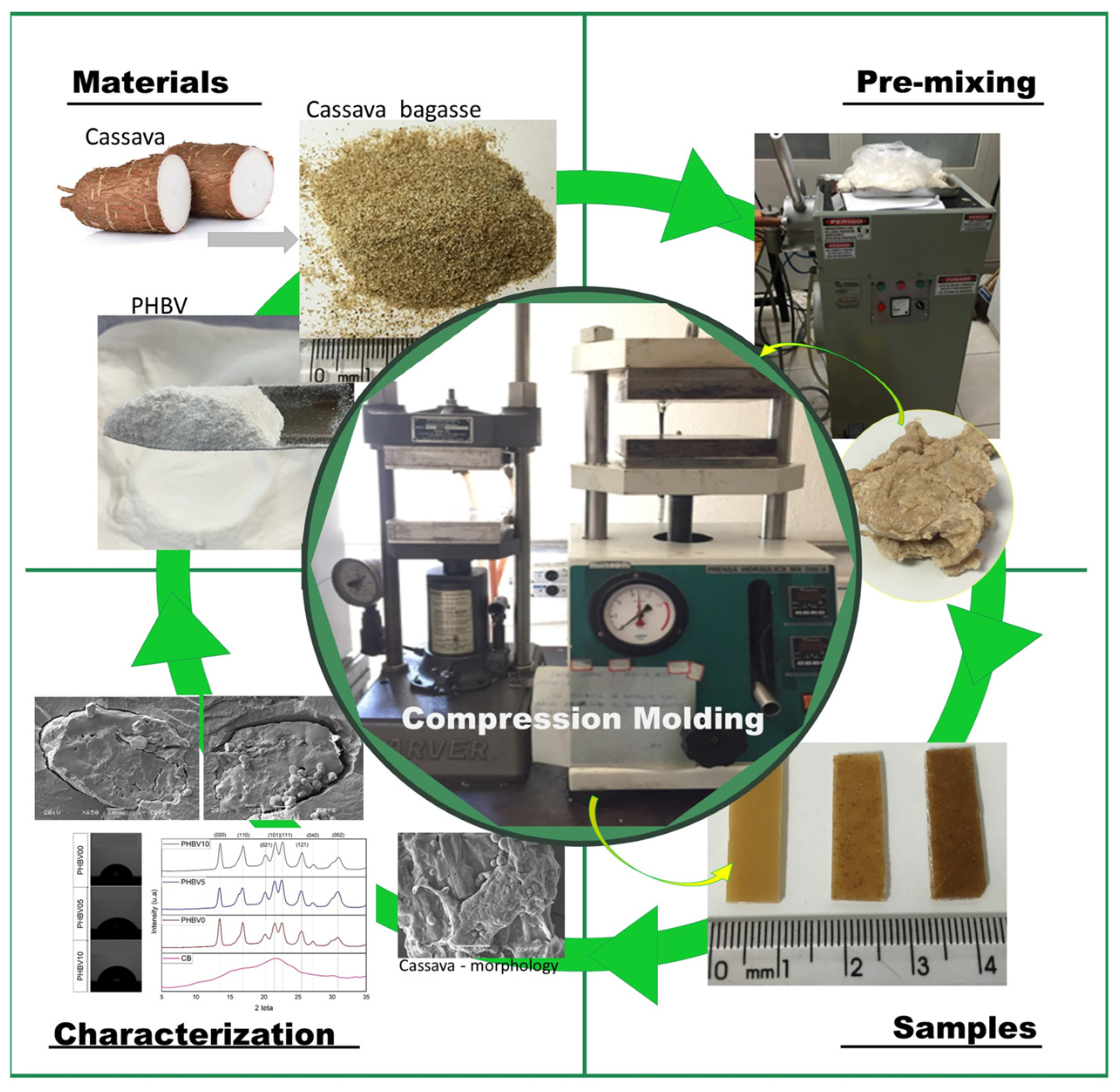Processes 13 00719 g001