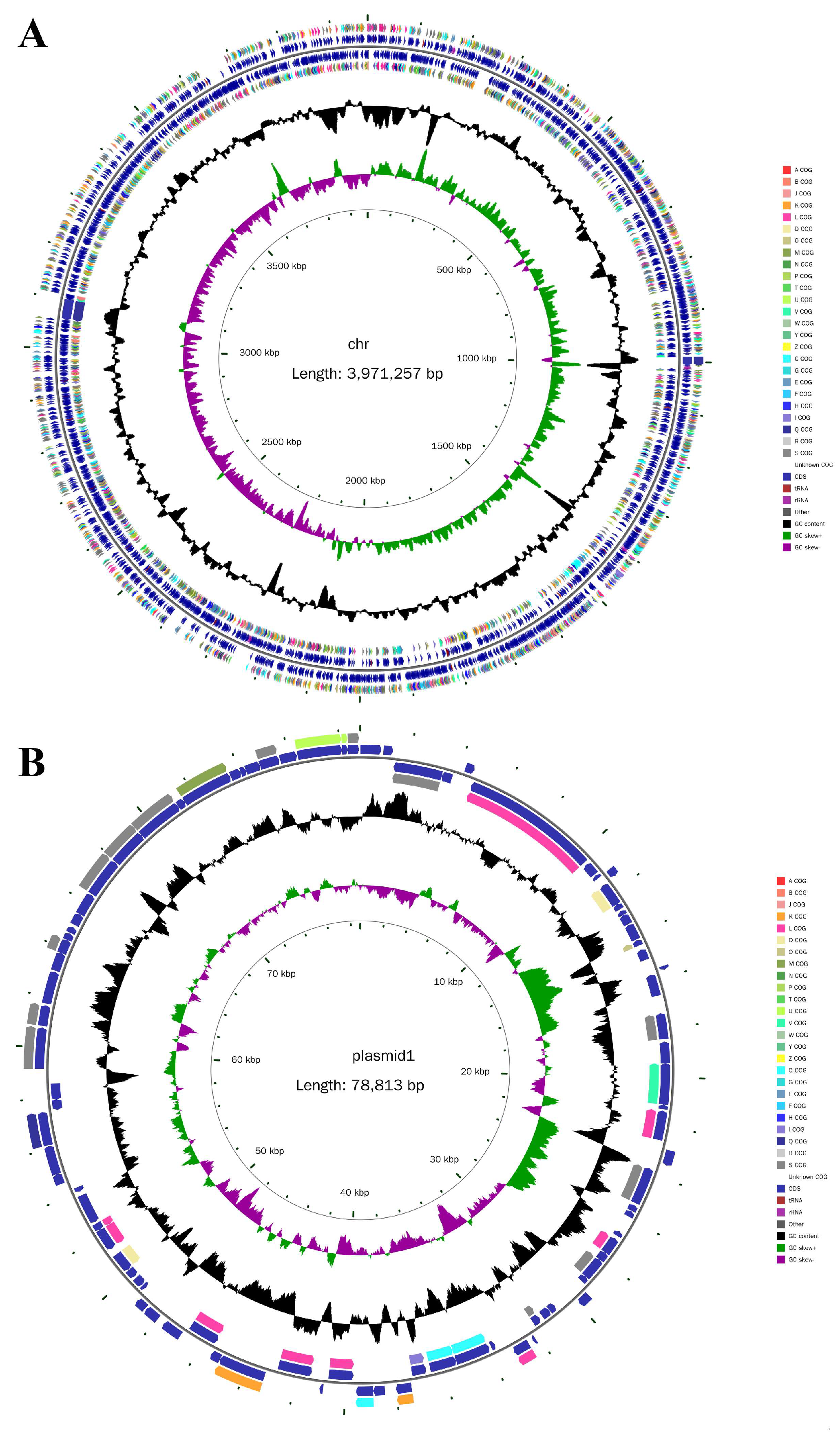Processes 13 00731 g004