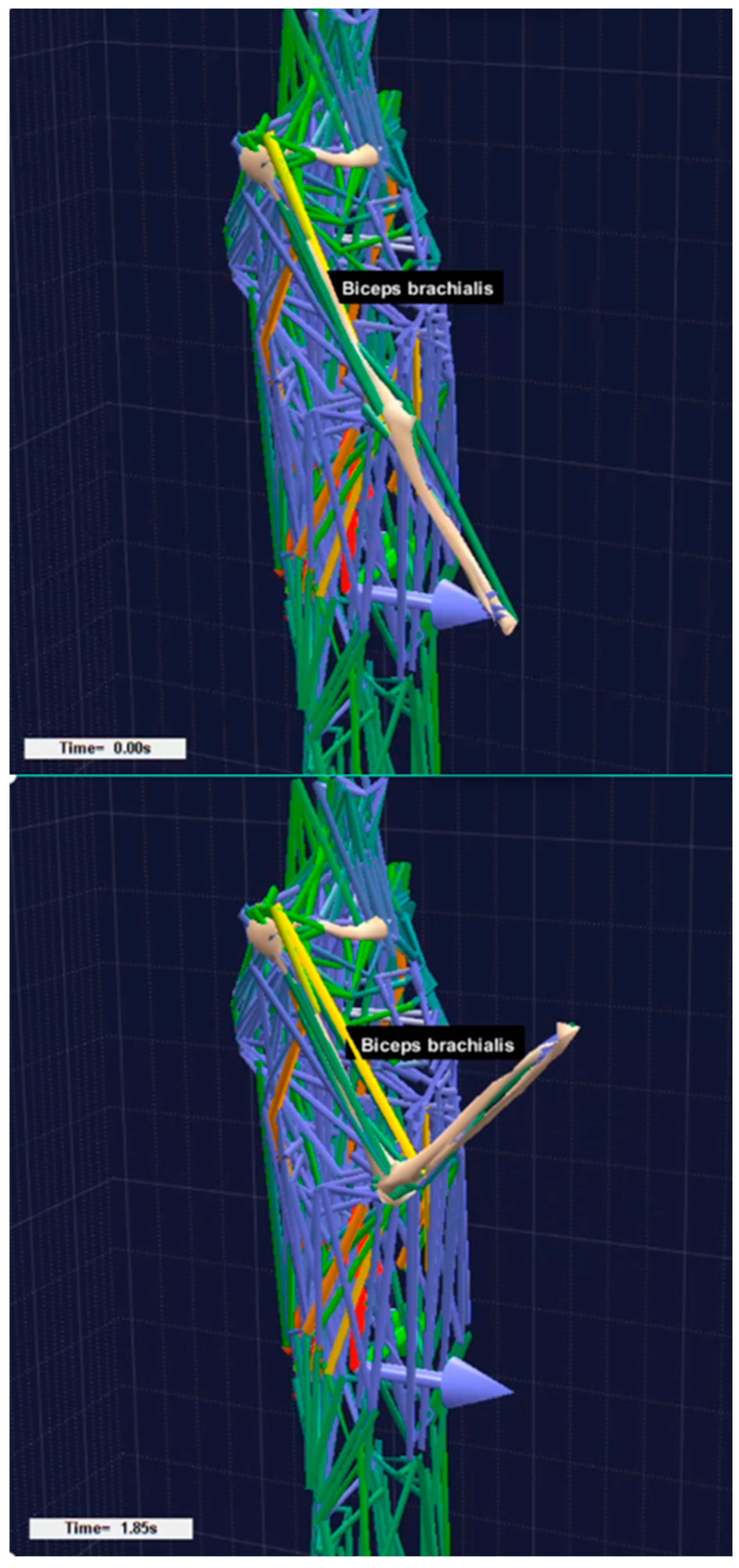 Processes 13 00748 g005