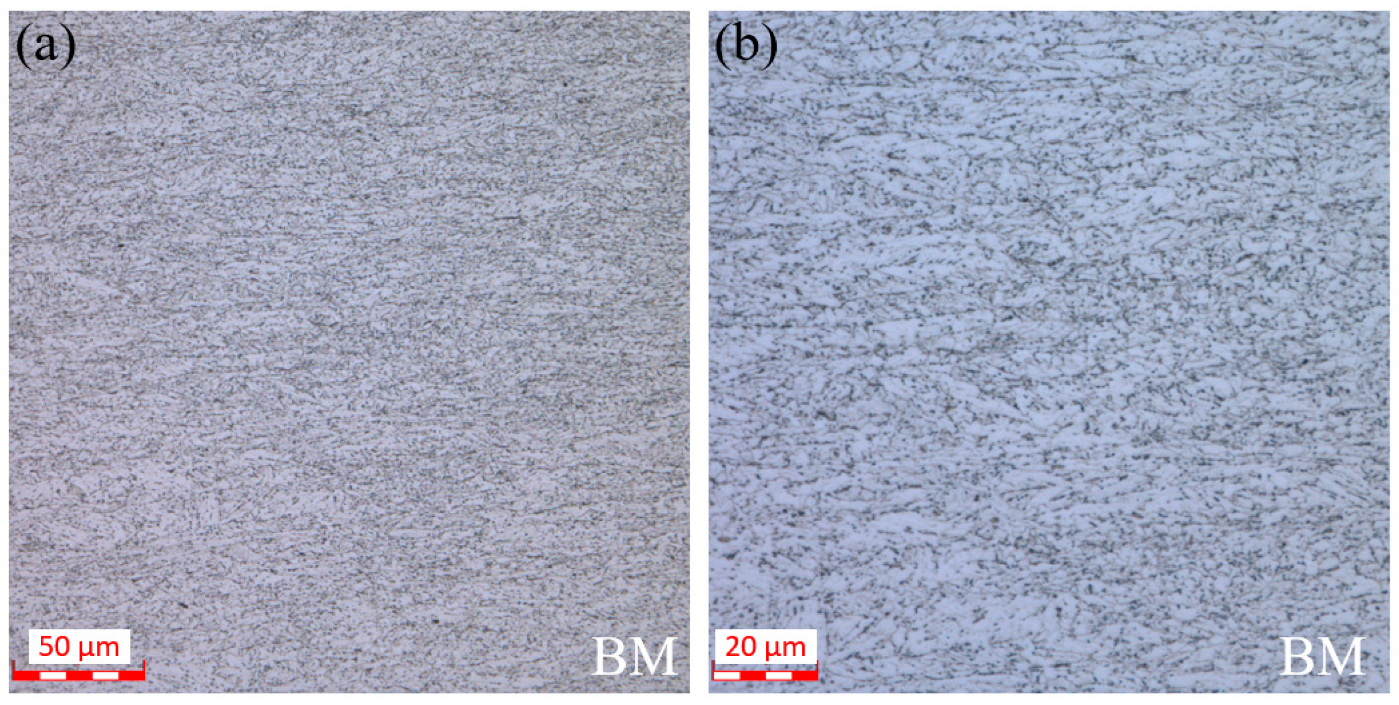 Processes 13 00763 g001 Processes 13 00763 g001