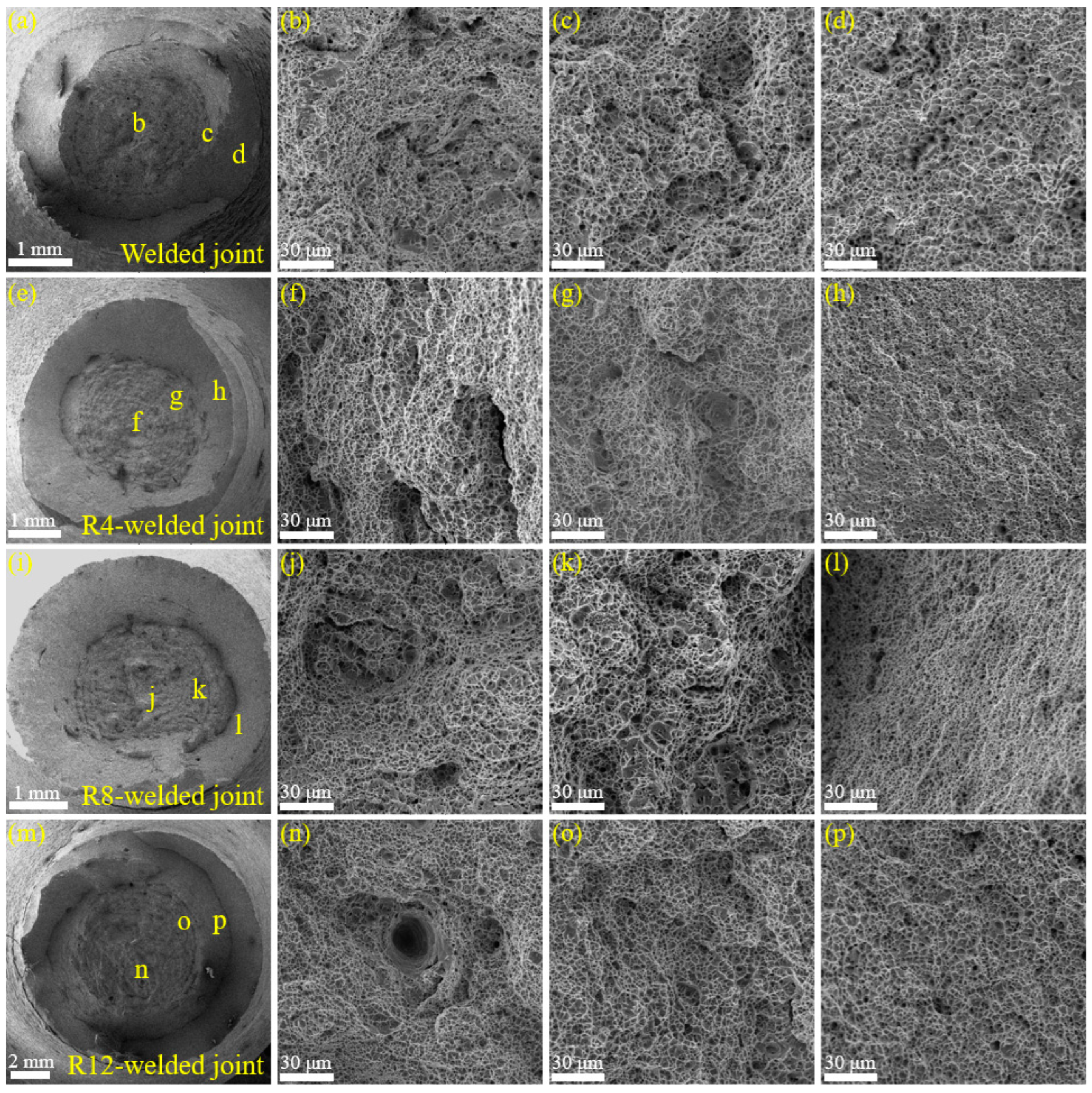 Processes 13 00763 g014 Processes 13 00763 g014