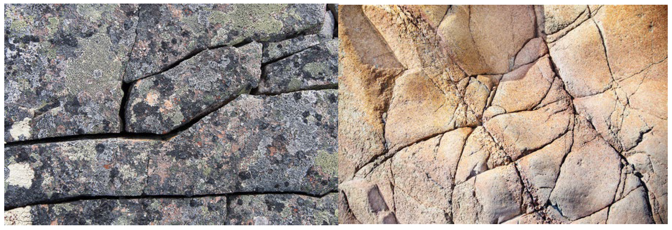 Processes 13 00765 g001