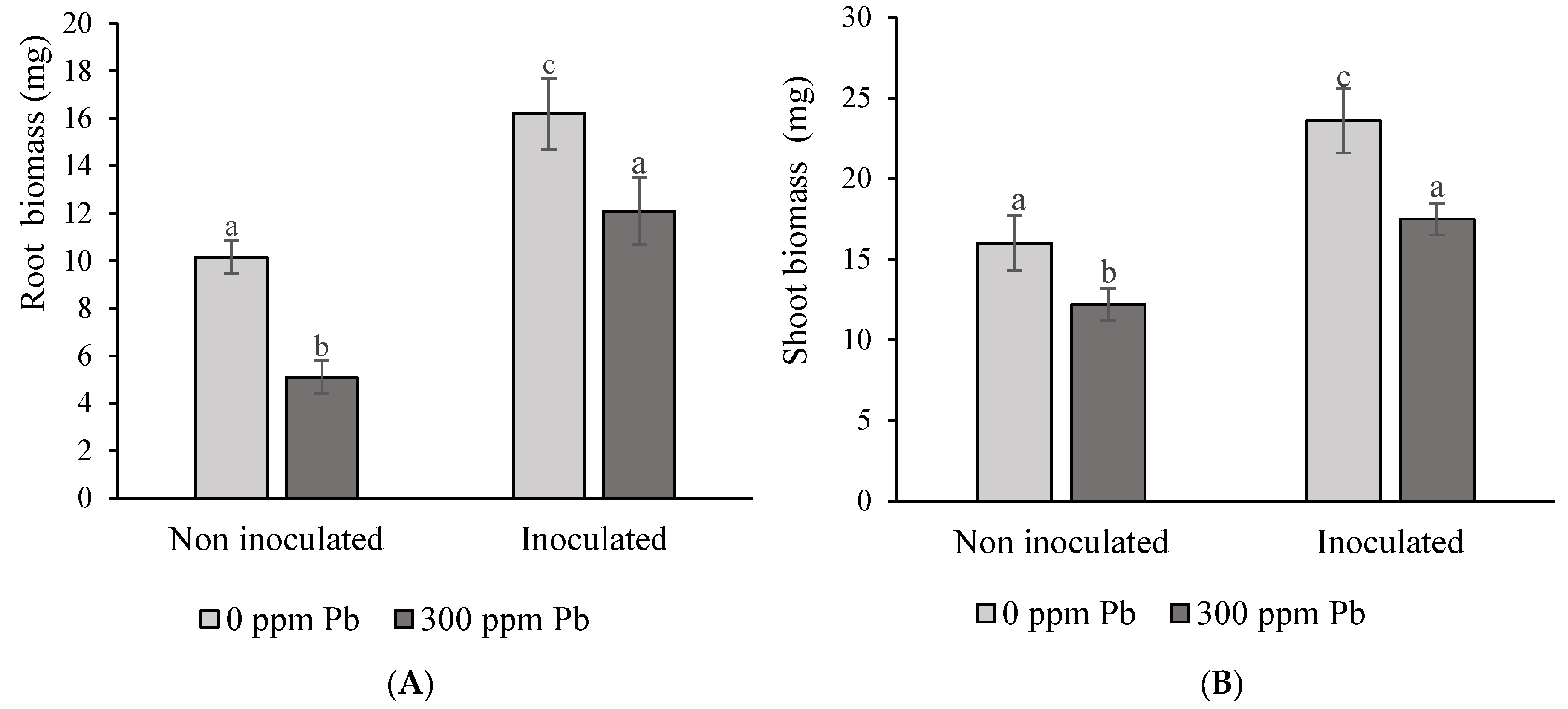 Processes 13 00767 g007