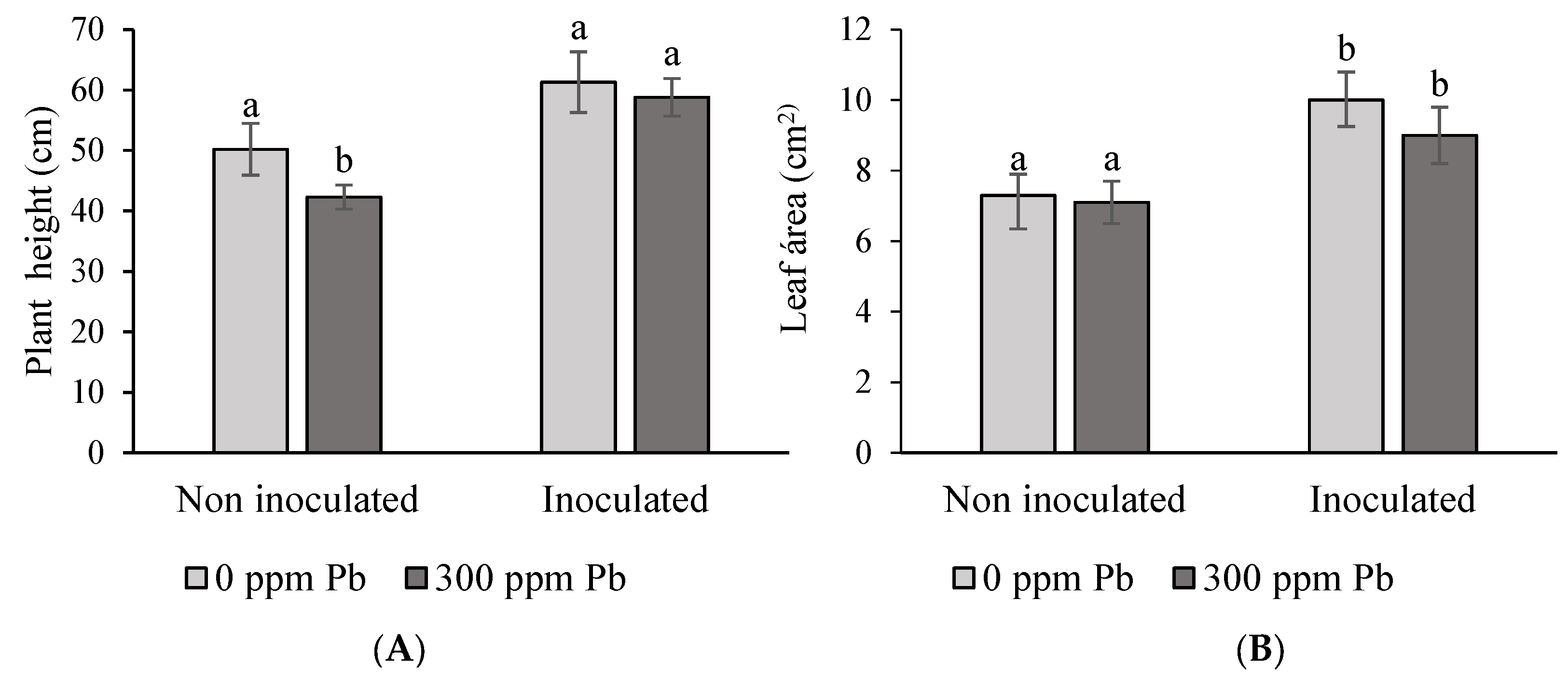 Processes 13 00767 g008