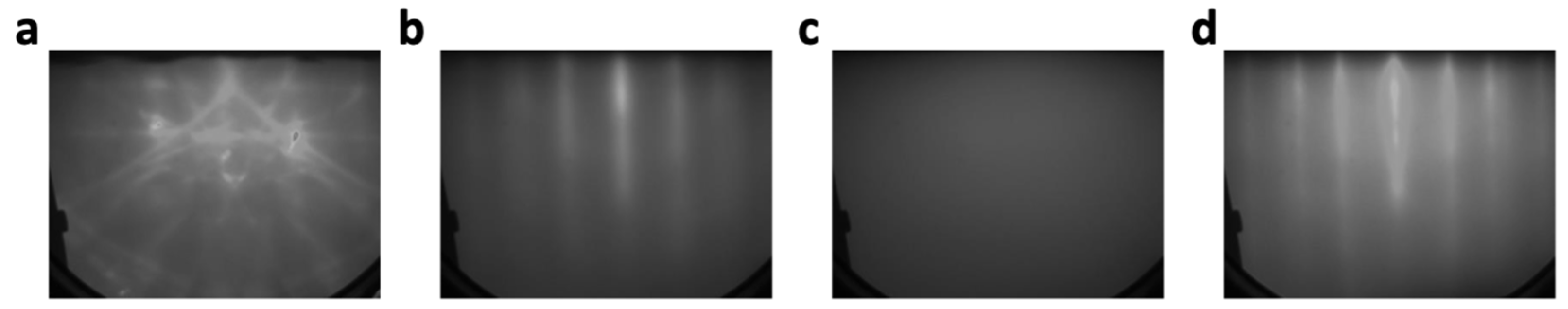 Processes 13 00791 g001