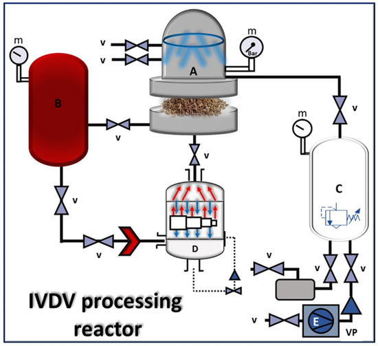 Ivdv Example Evolution of Dried Food Texturization: A Critical Review of ...