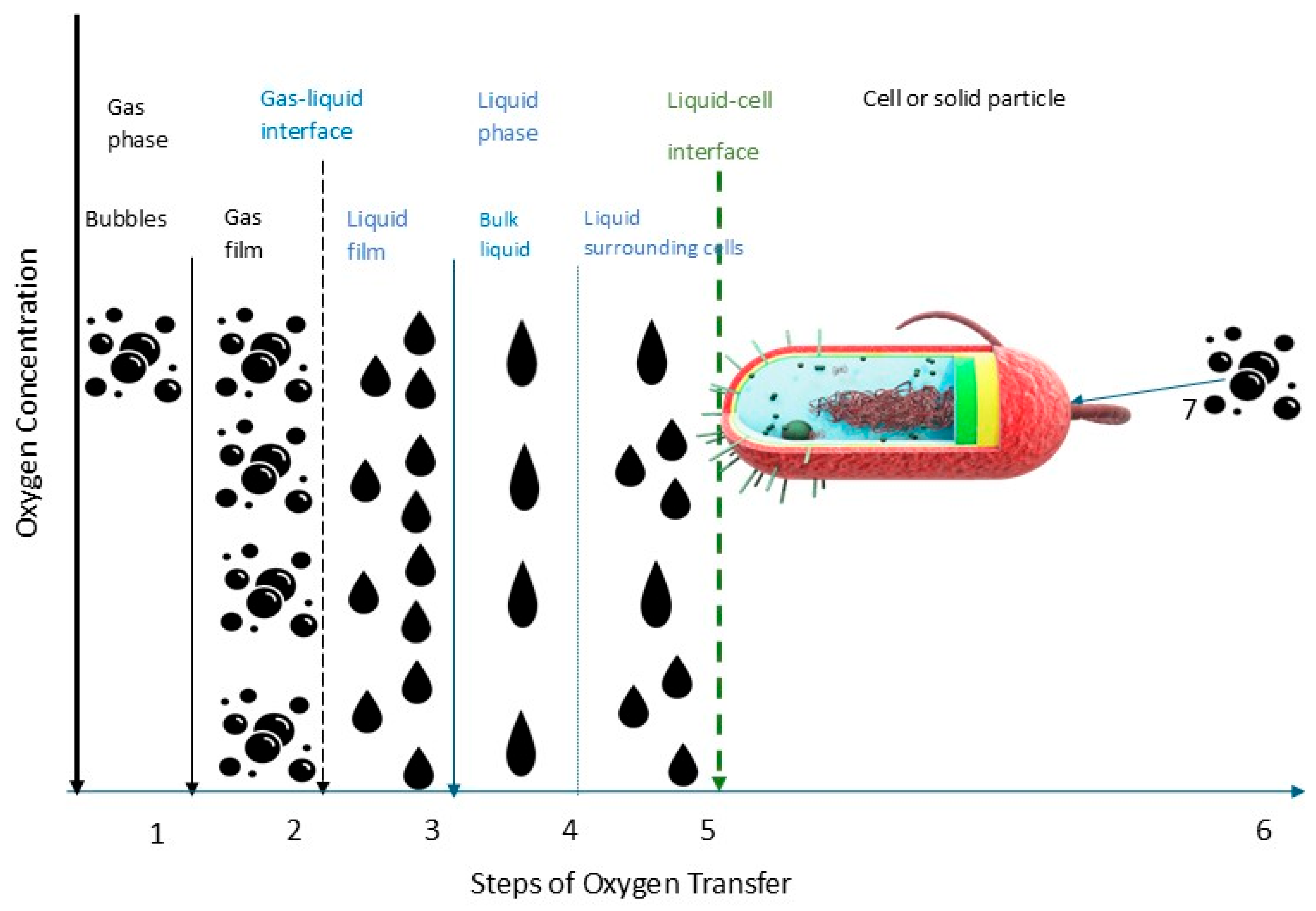 Processes 13 00822 g002 Processes 13 00822 g002