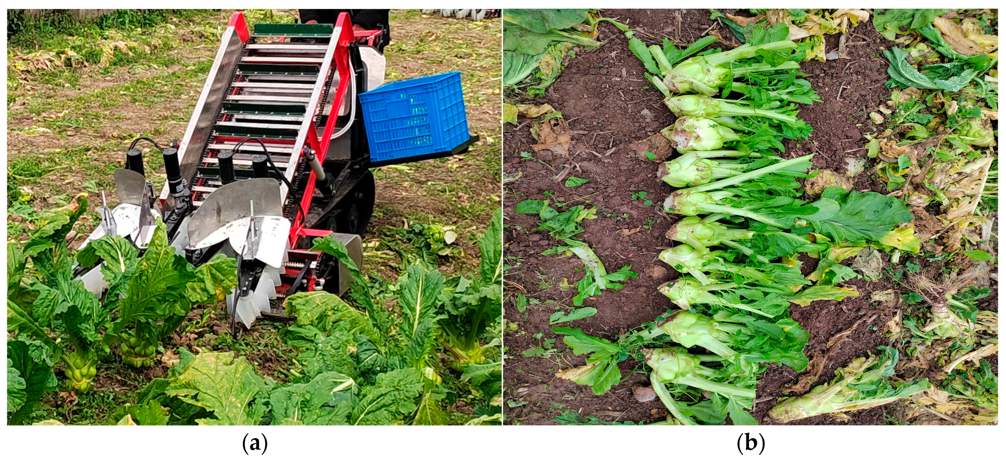 Processes 13 00845 g014