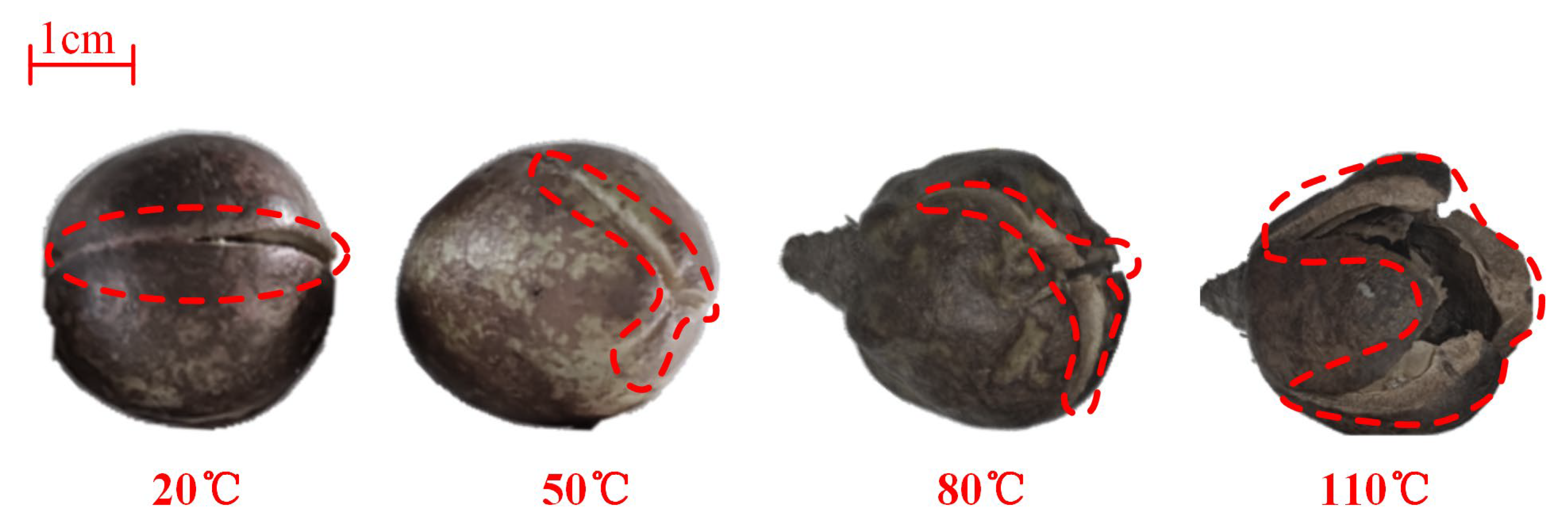Processes 13 00856 g012