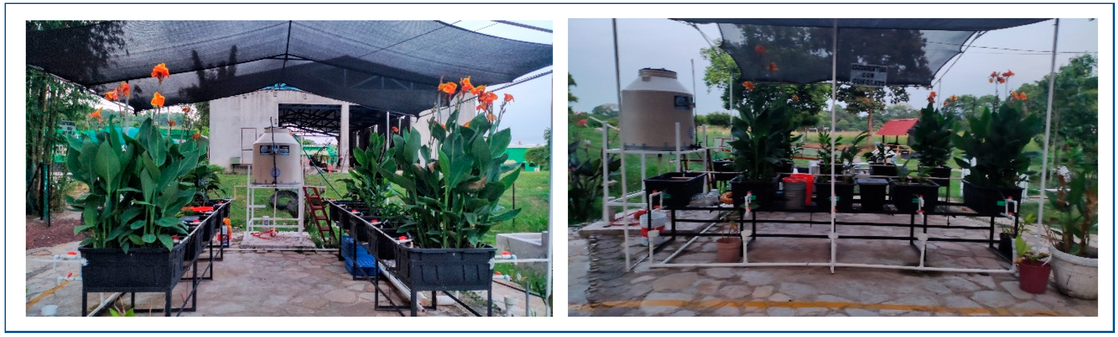 Processes 13 00860 g002