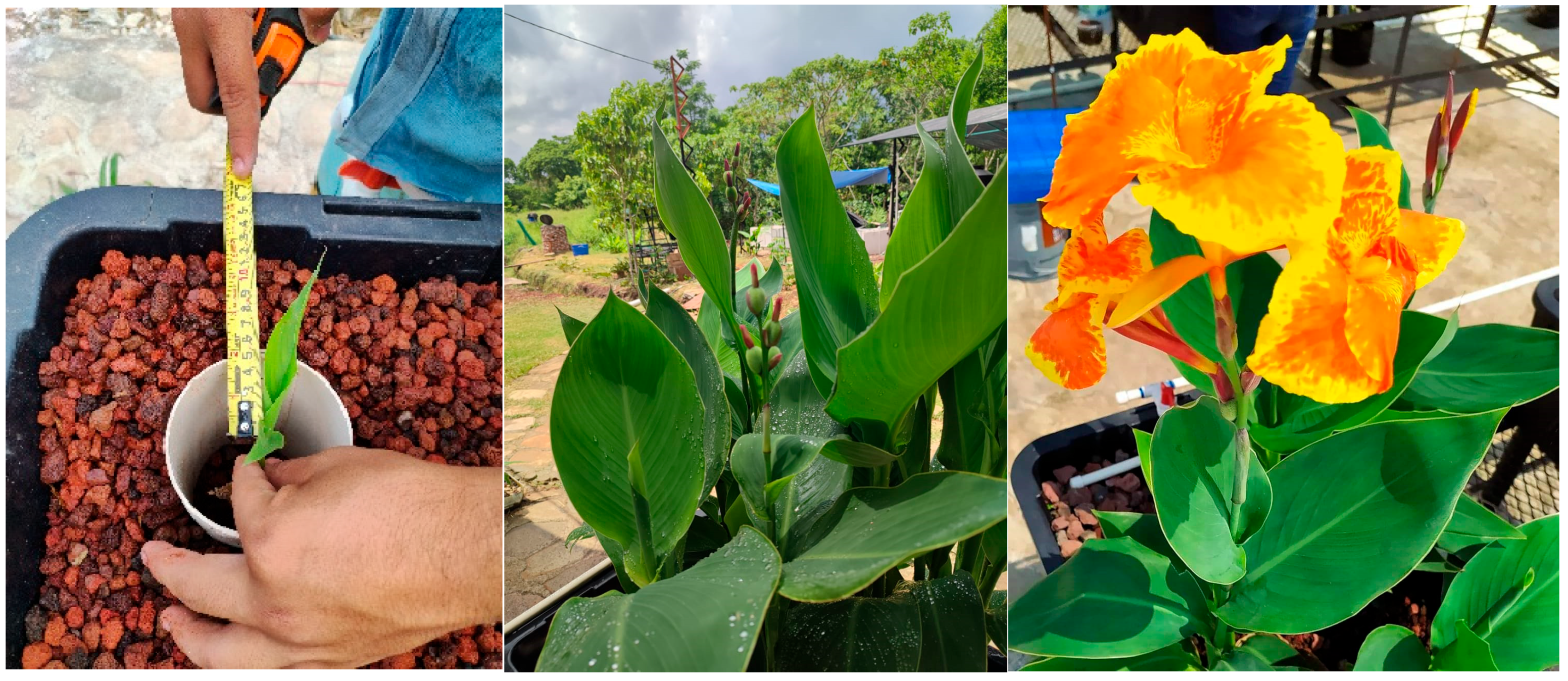 Processes 13 00860 g004