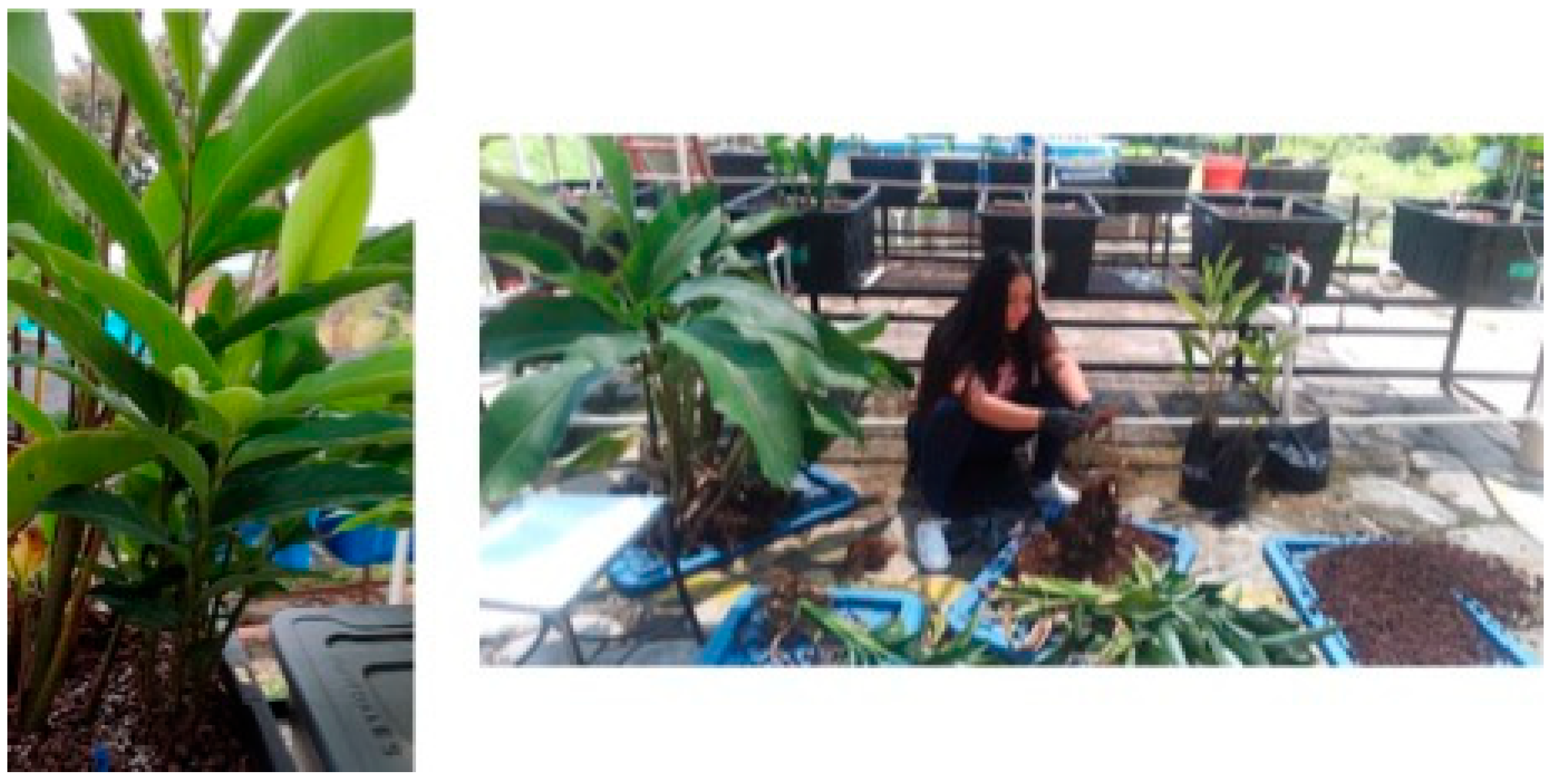 Processes 13 00860 g005