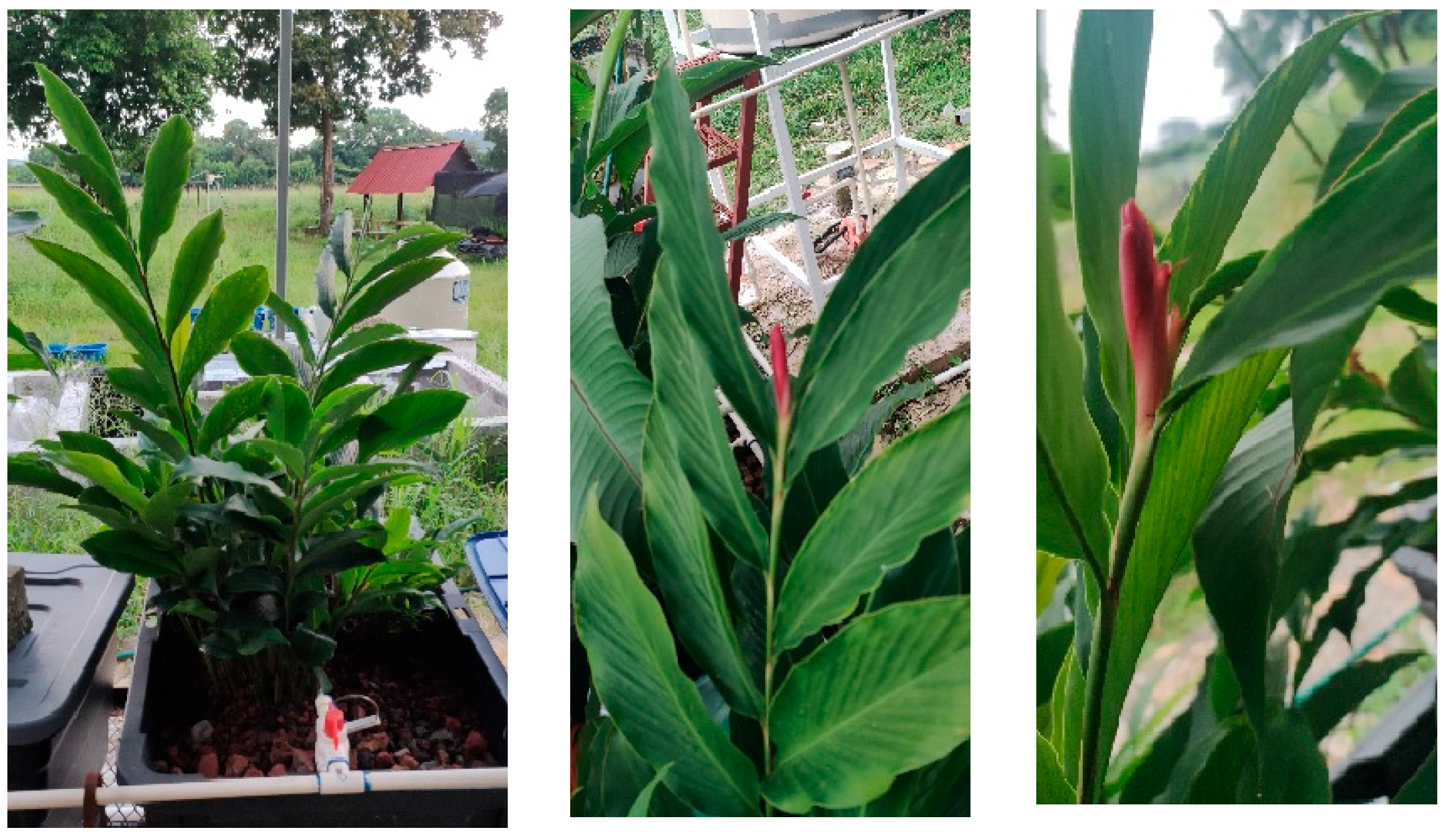 Processes 13 00860 g006