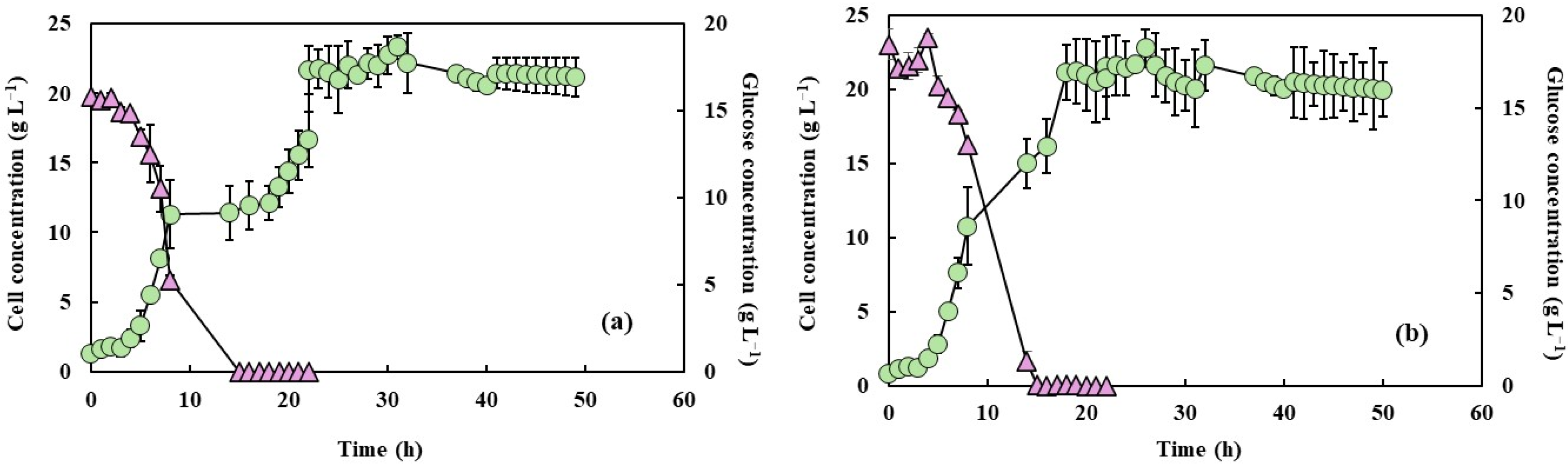Processes 13 00865 g002