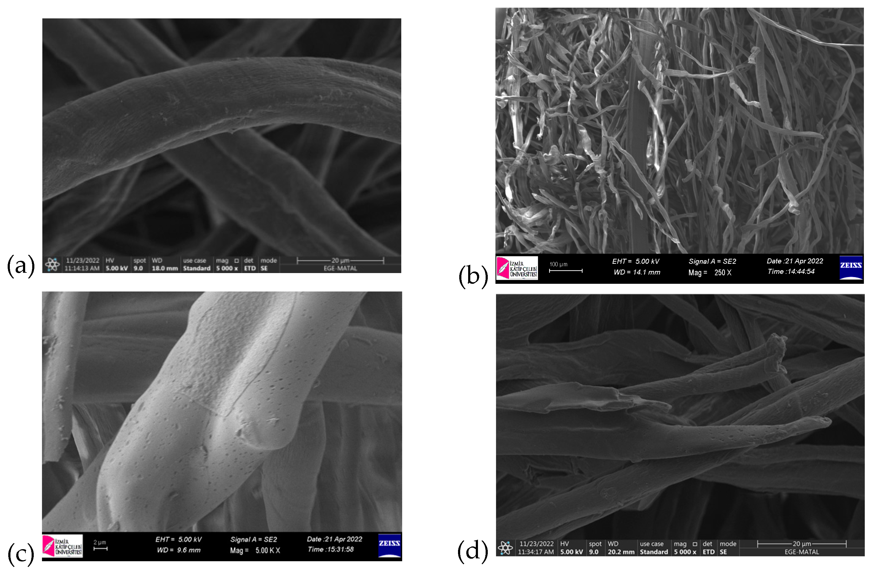 Processes 13 00870 g009