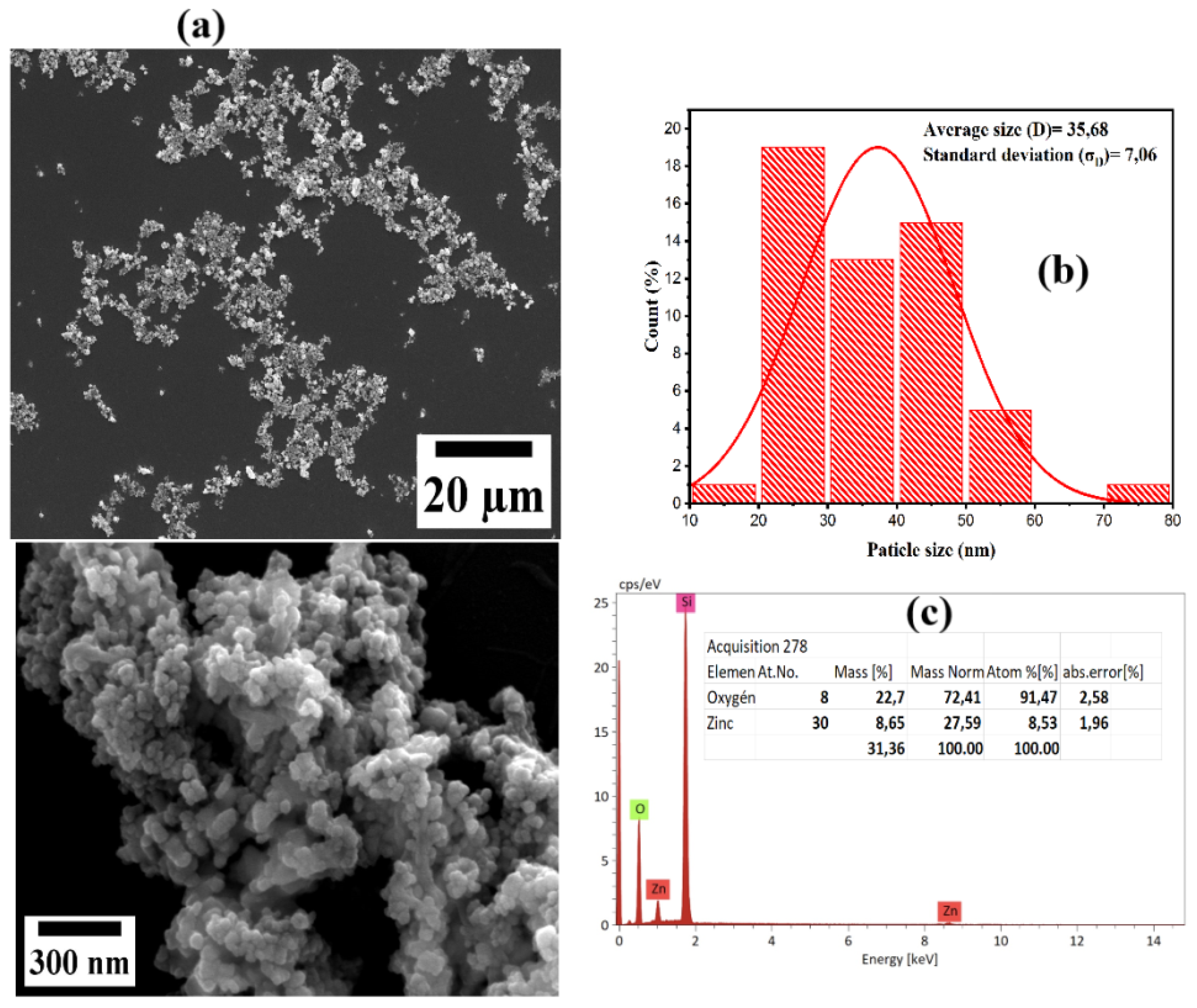 Processes 13 00880 g004