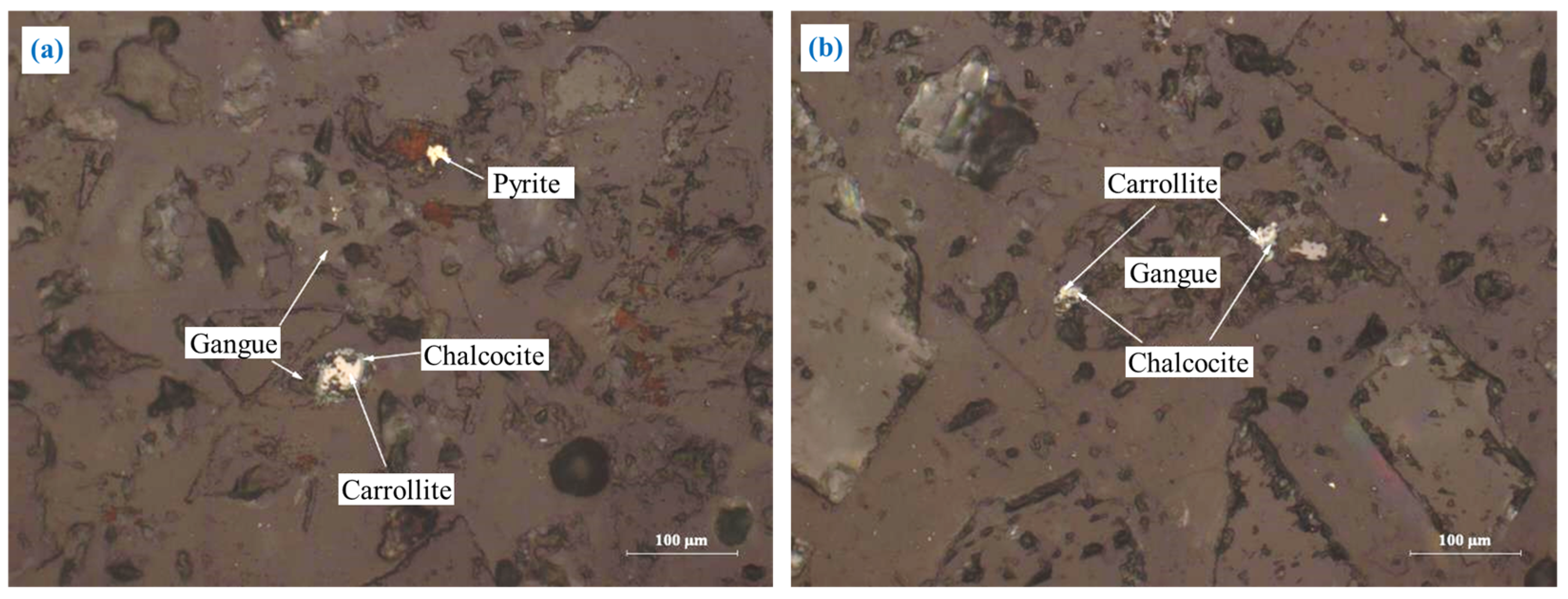 Processes 13 00918 g010