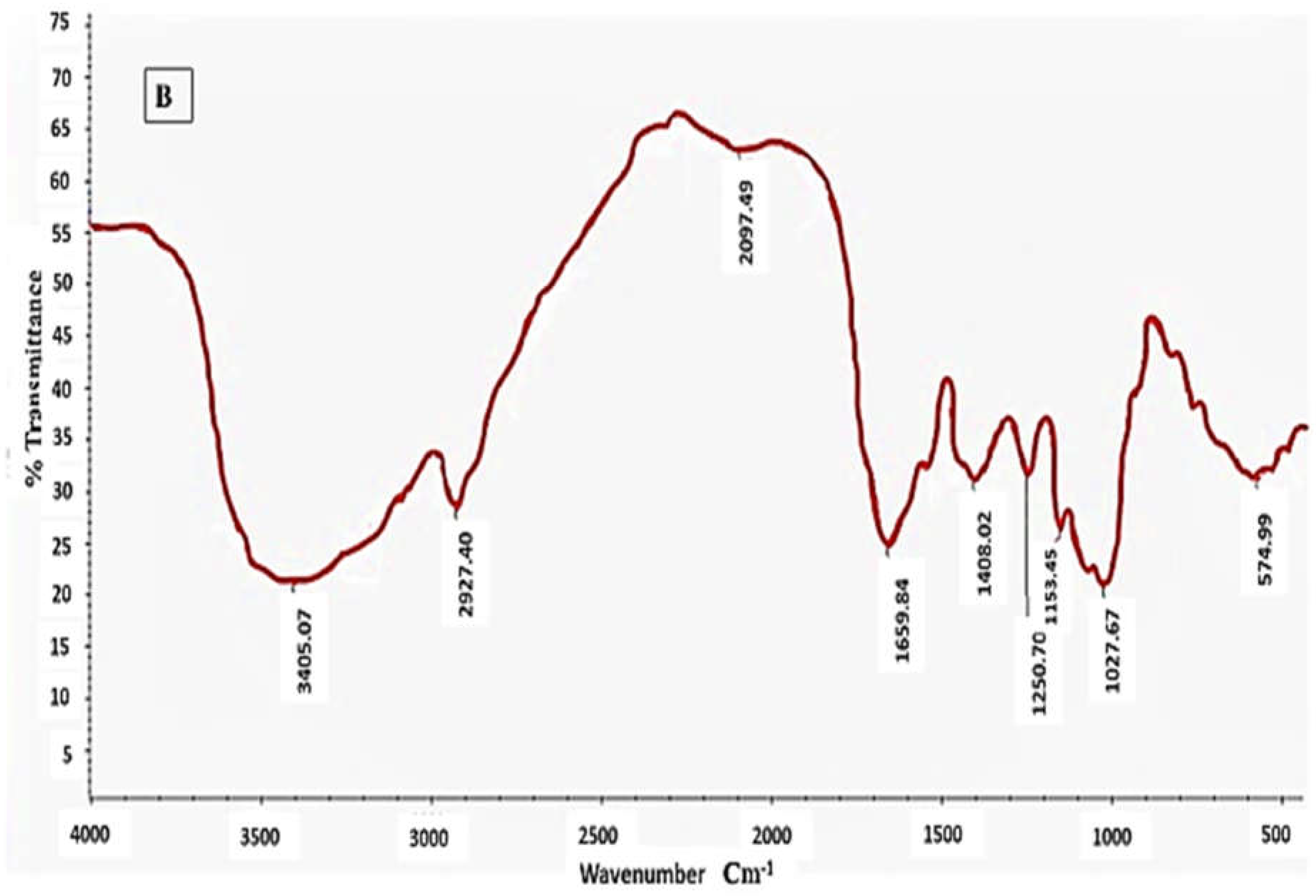 Processes 13 00935 g007b