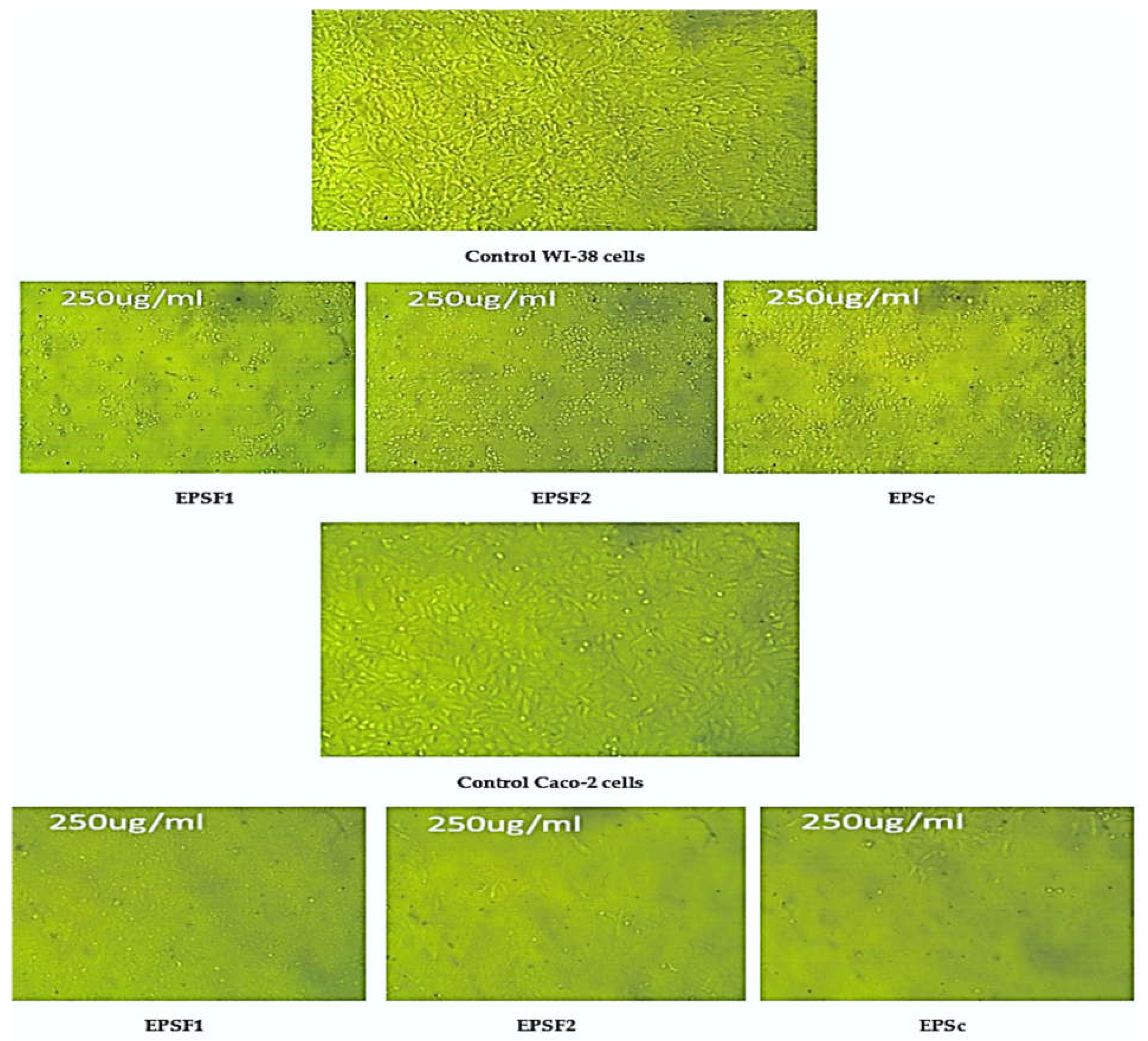 Processes 13 00935 g011a