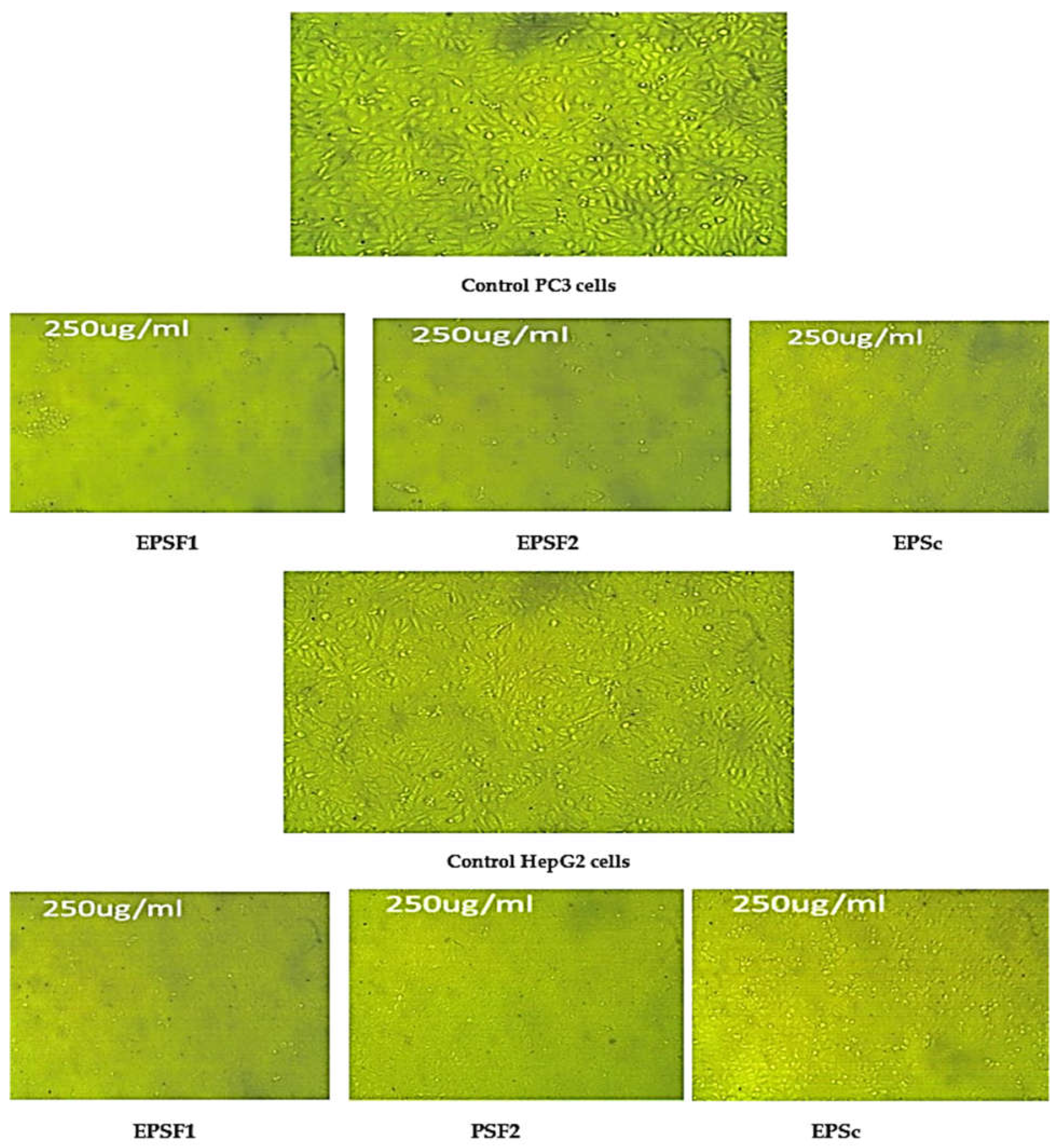 Processes 13 00935 g011b
