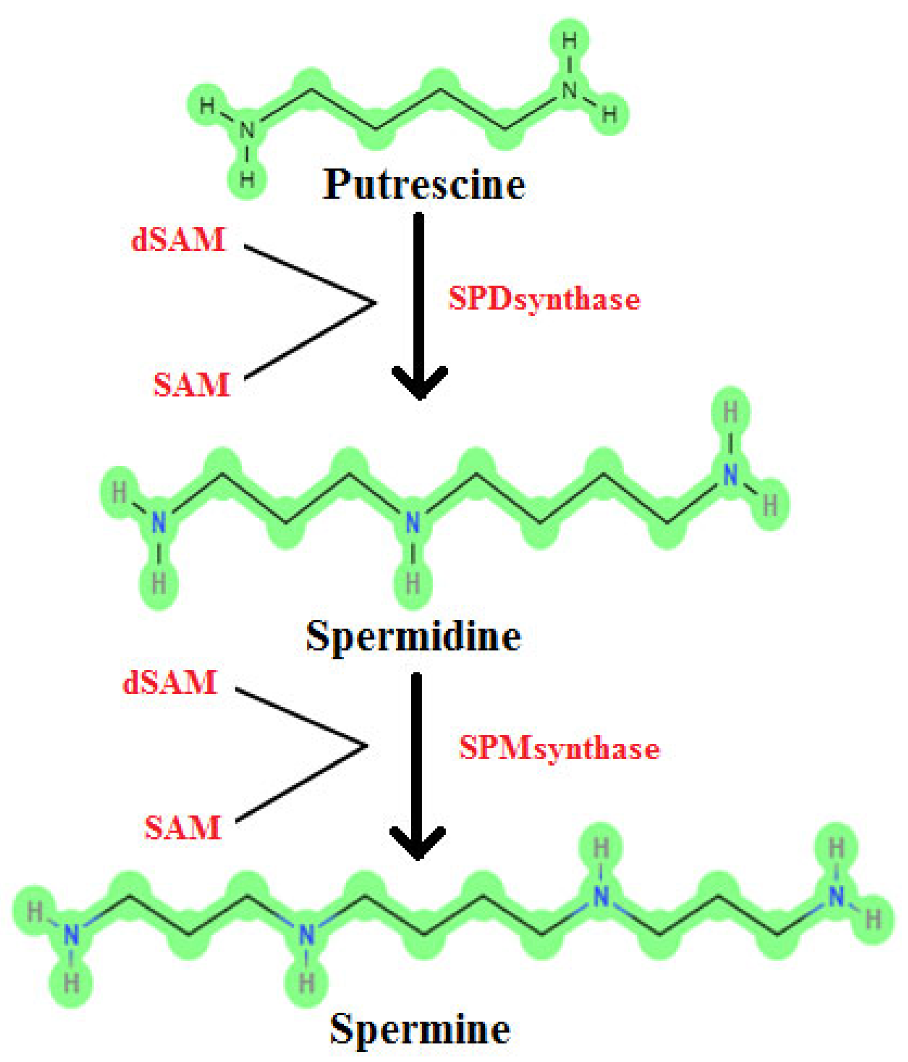 Processes 13 00941 g001