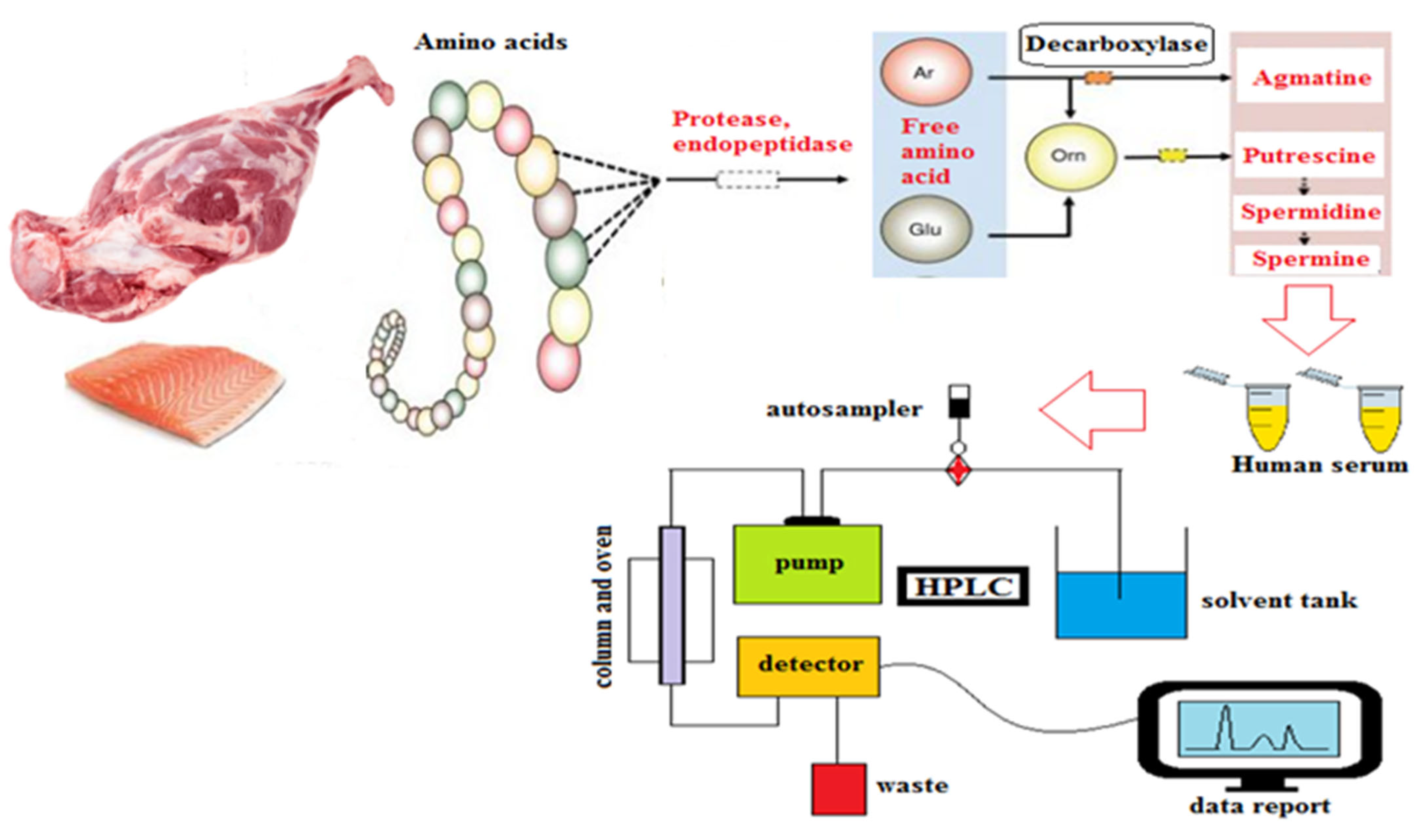Processes 13 00941 g002