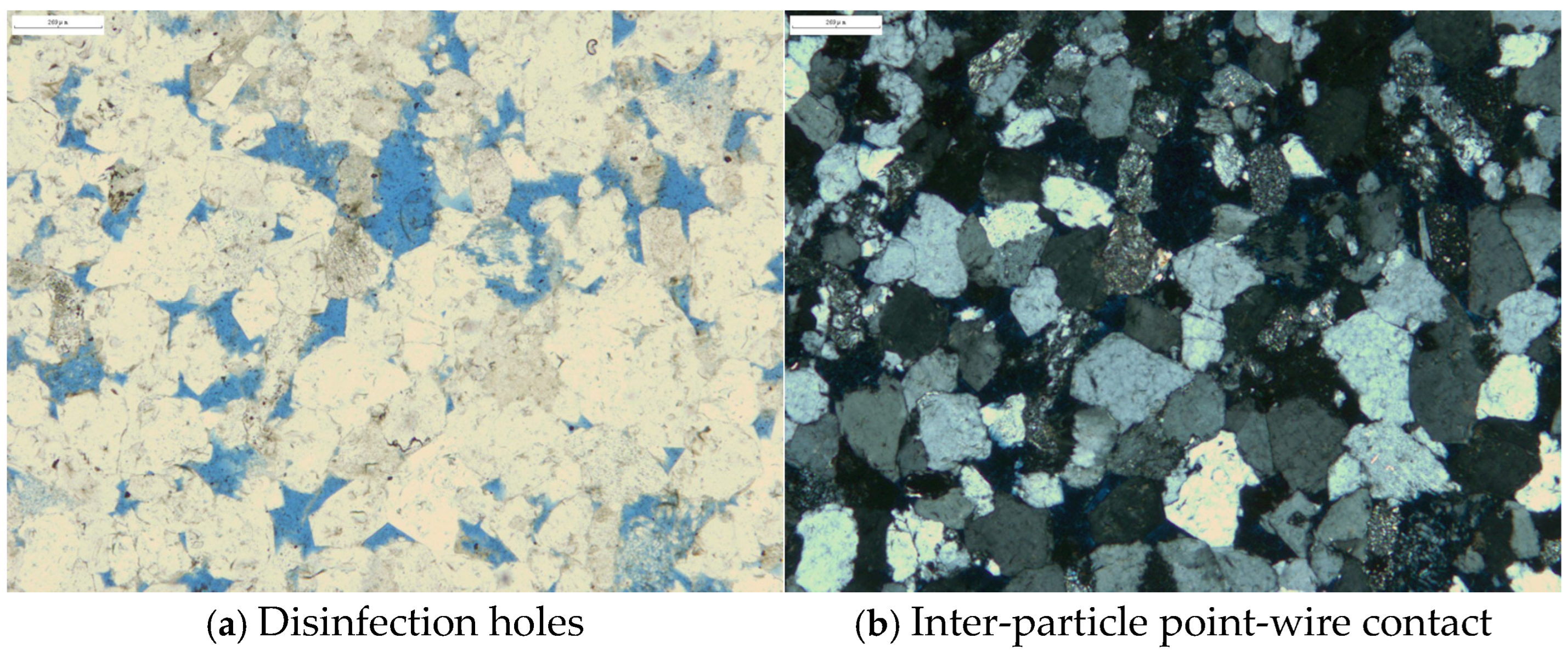 Processes 13 00947 g001