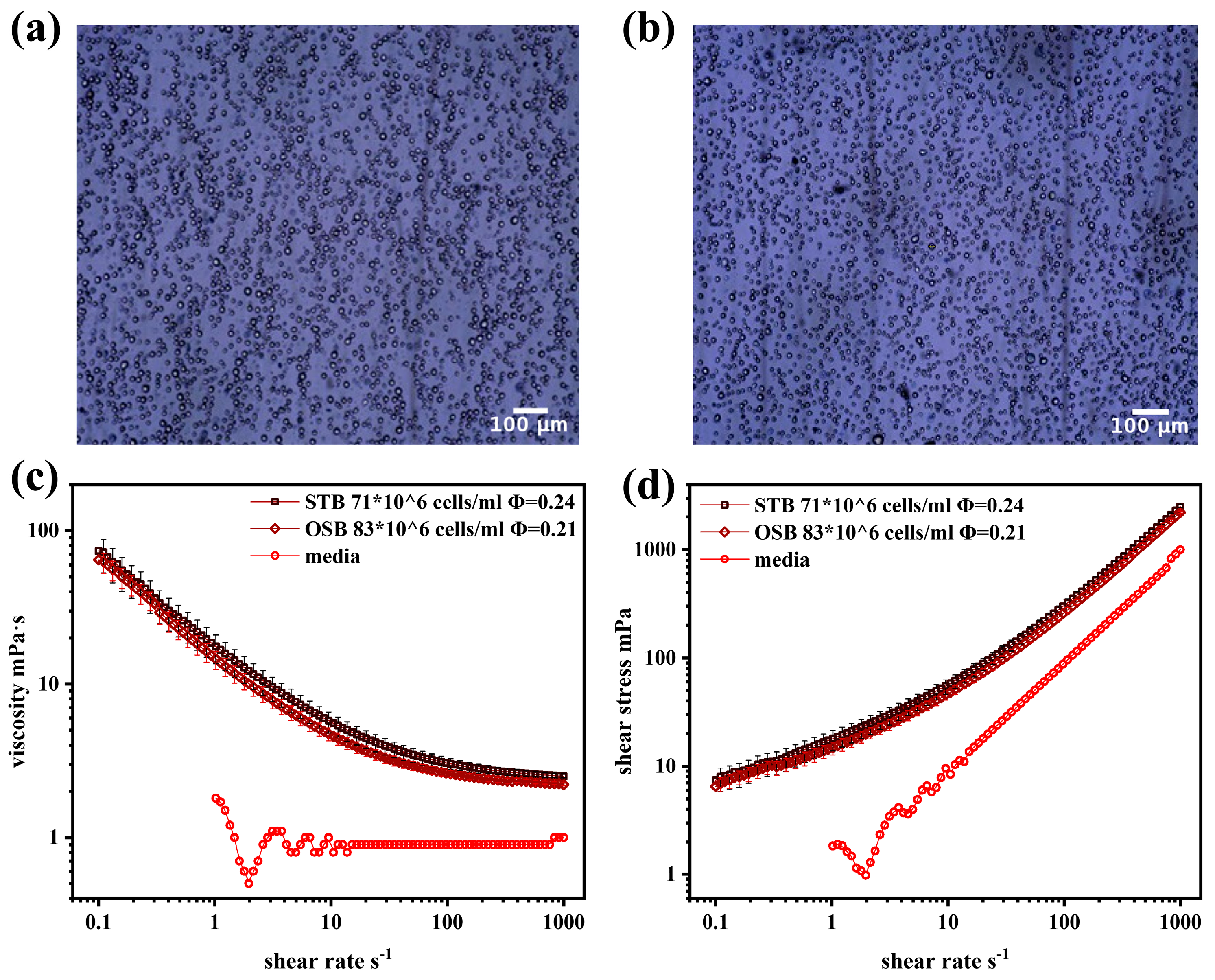 Processes 13 00955 g002