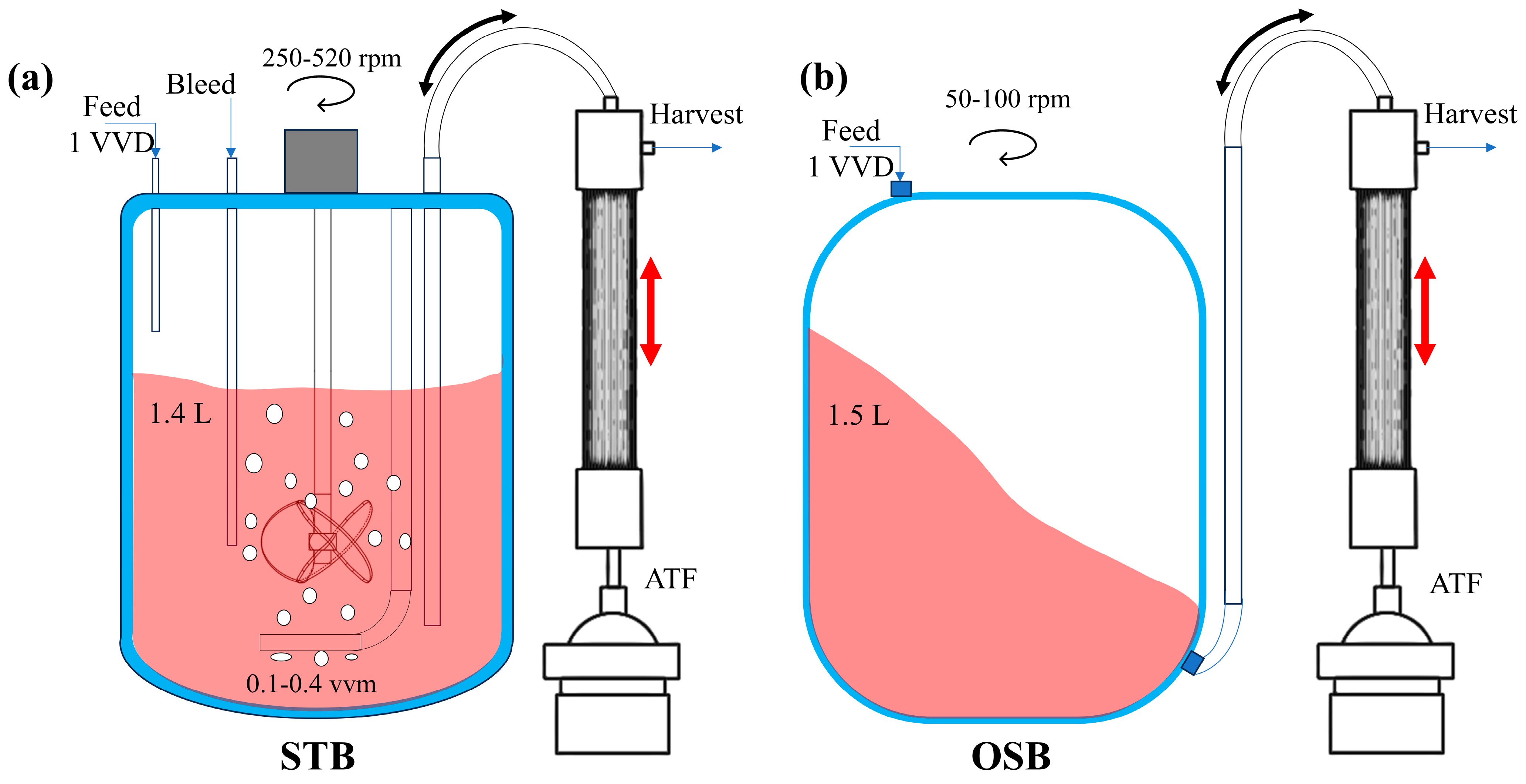 Processes 13 00955 g0a1