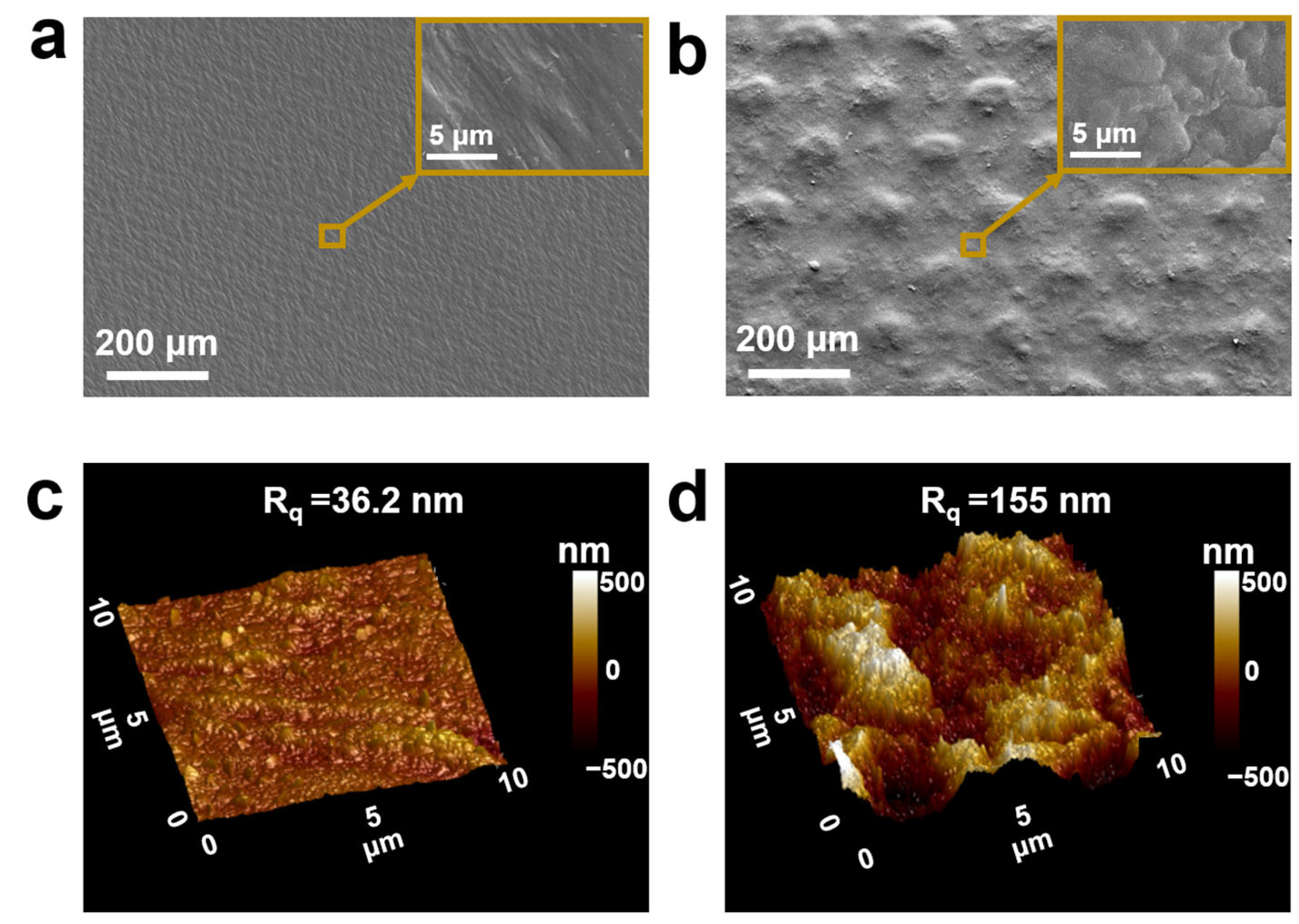 Processes 13 00964 g001