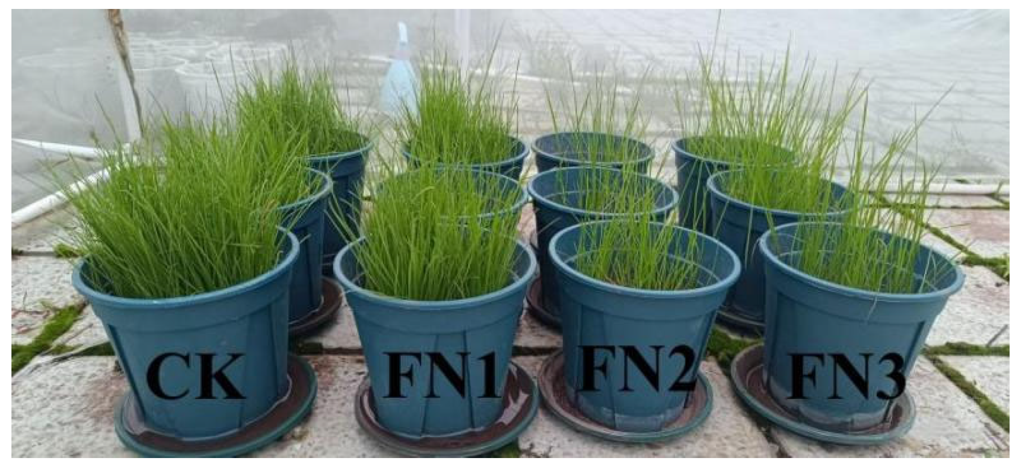 Processes 13 00972 g010