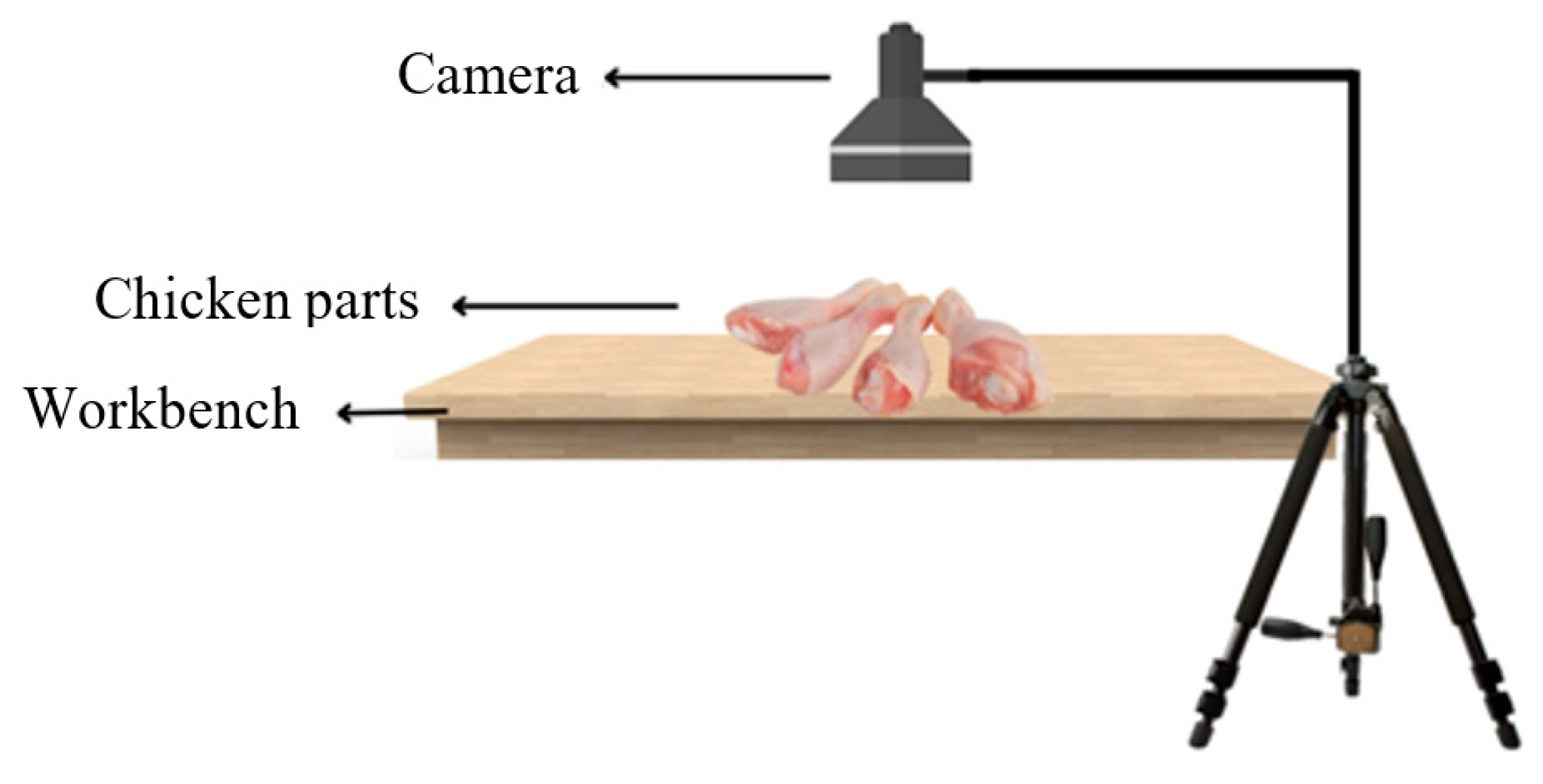 Processes 13 01005 g004