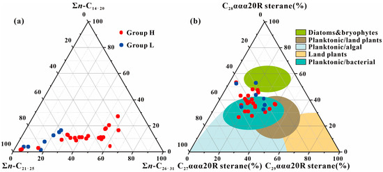 Origin and Hydrocarbon Generation of γ-Alkylbutyrolactones