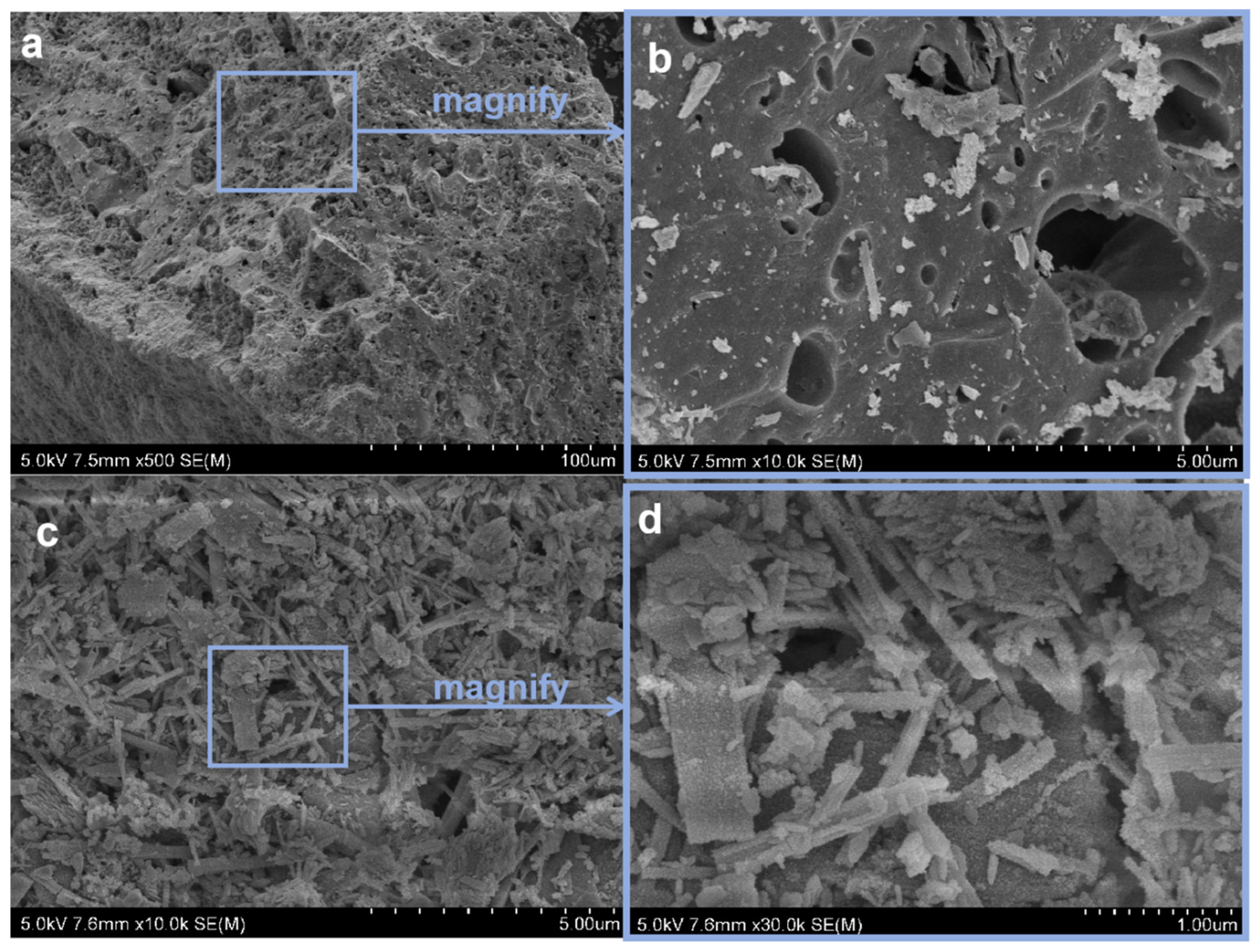 Processes 13 01012 g003
