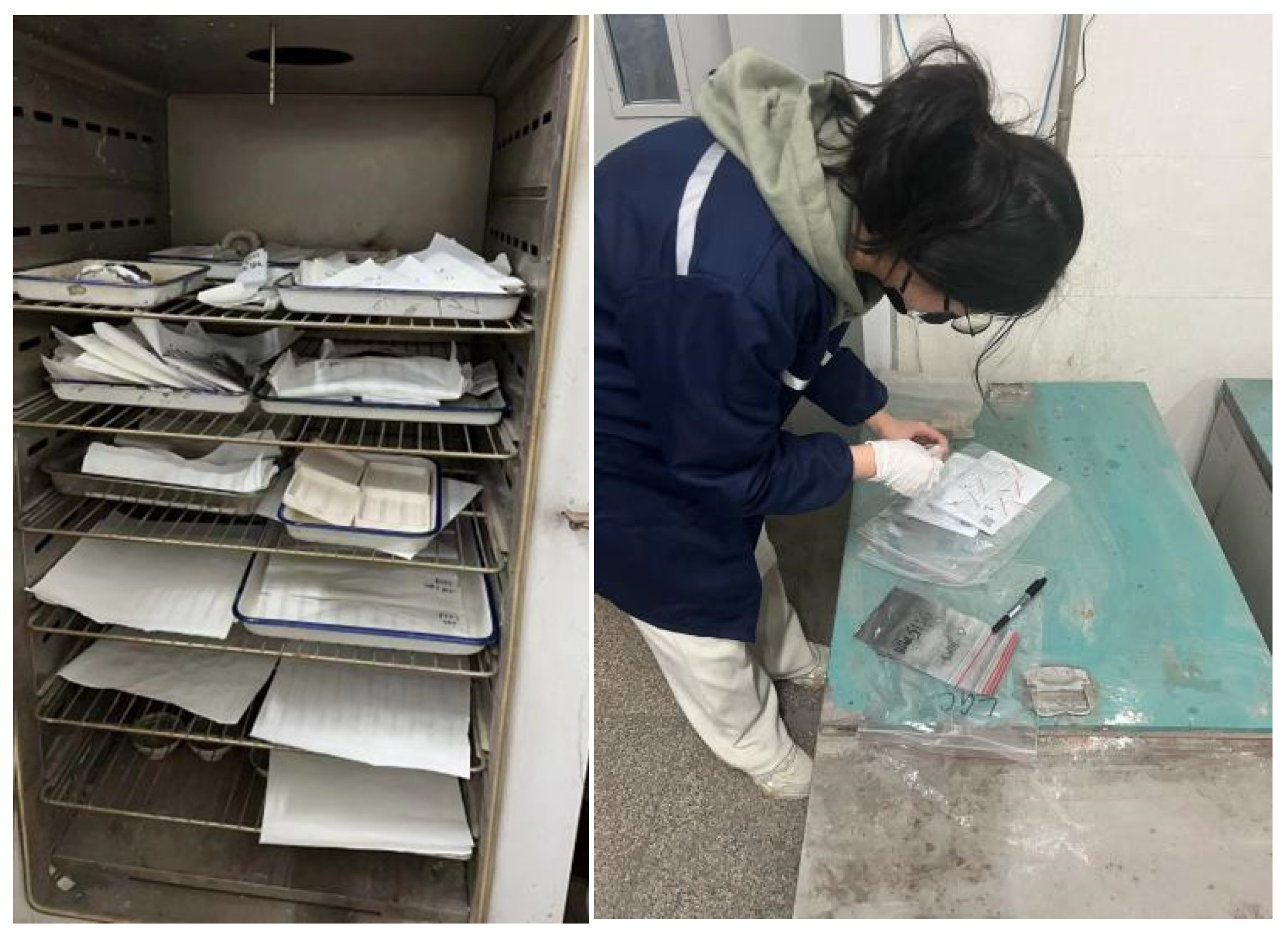 Processes 13 01012 g006