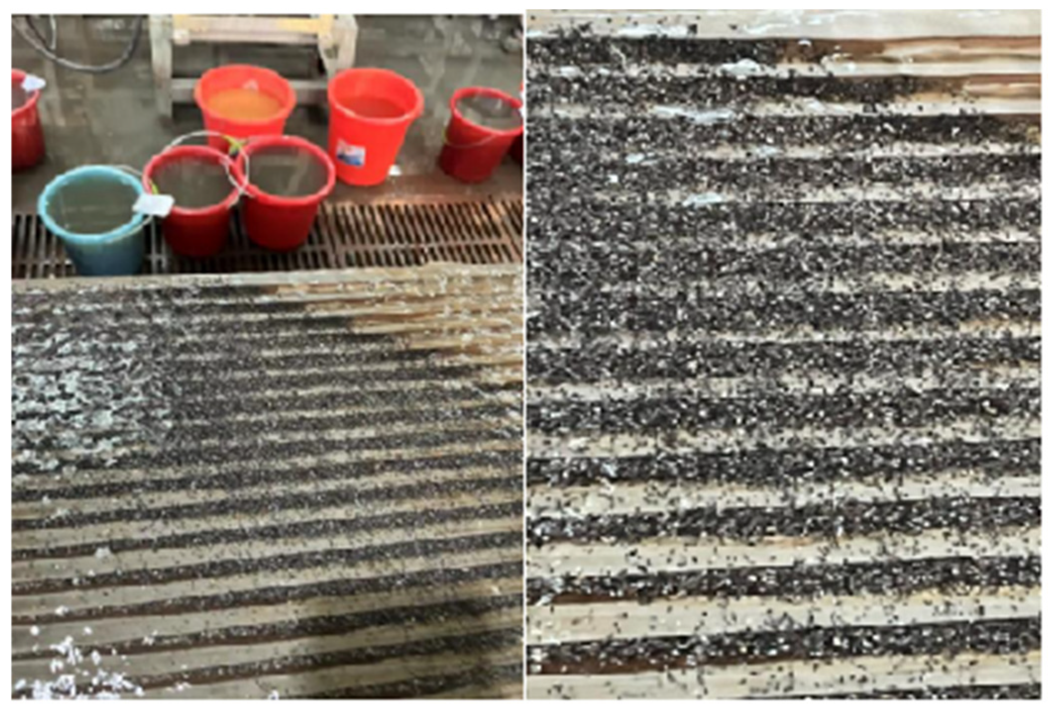 Processes 13 01012 g012