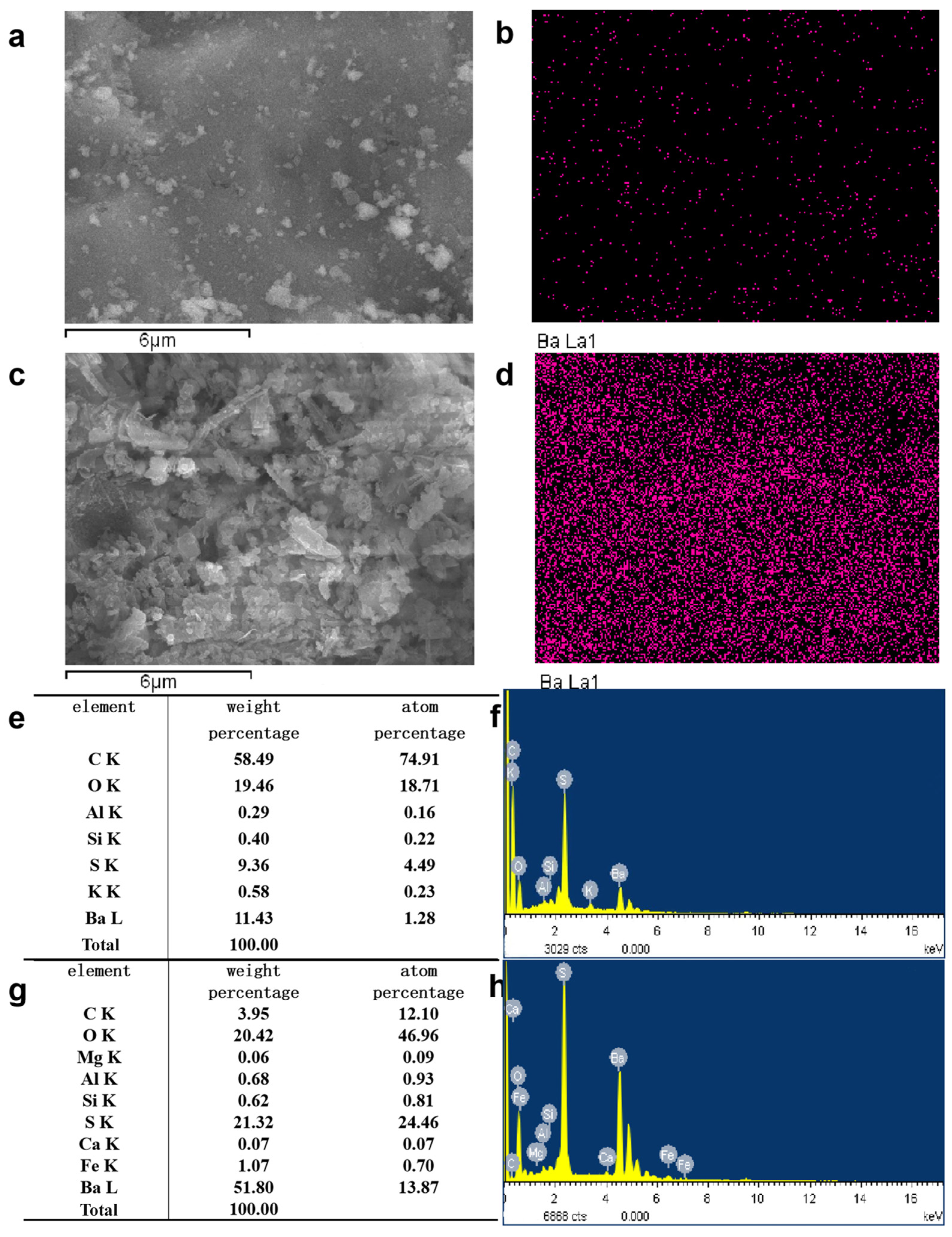 Processes 13 01012 g016