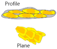 Processes 13 01016 i005