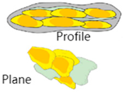 Processes 13 01016 i014