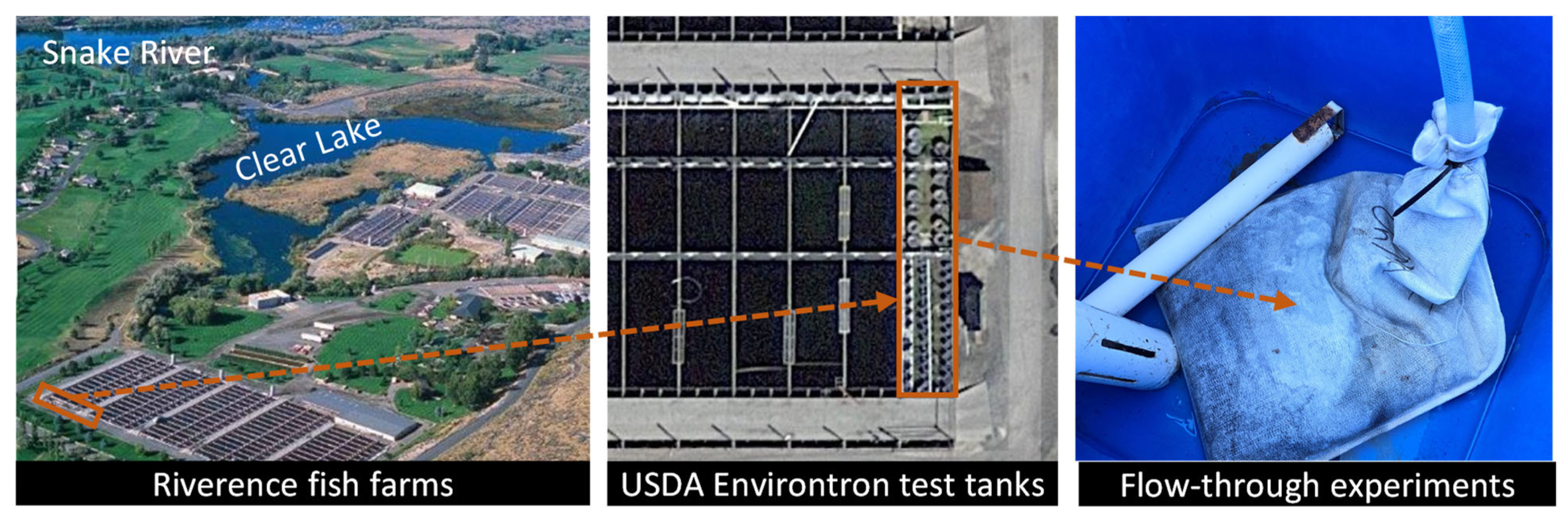 Processes 13 01021 g001