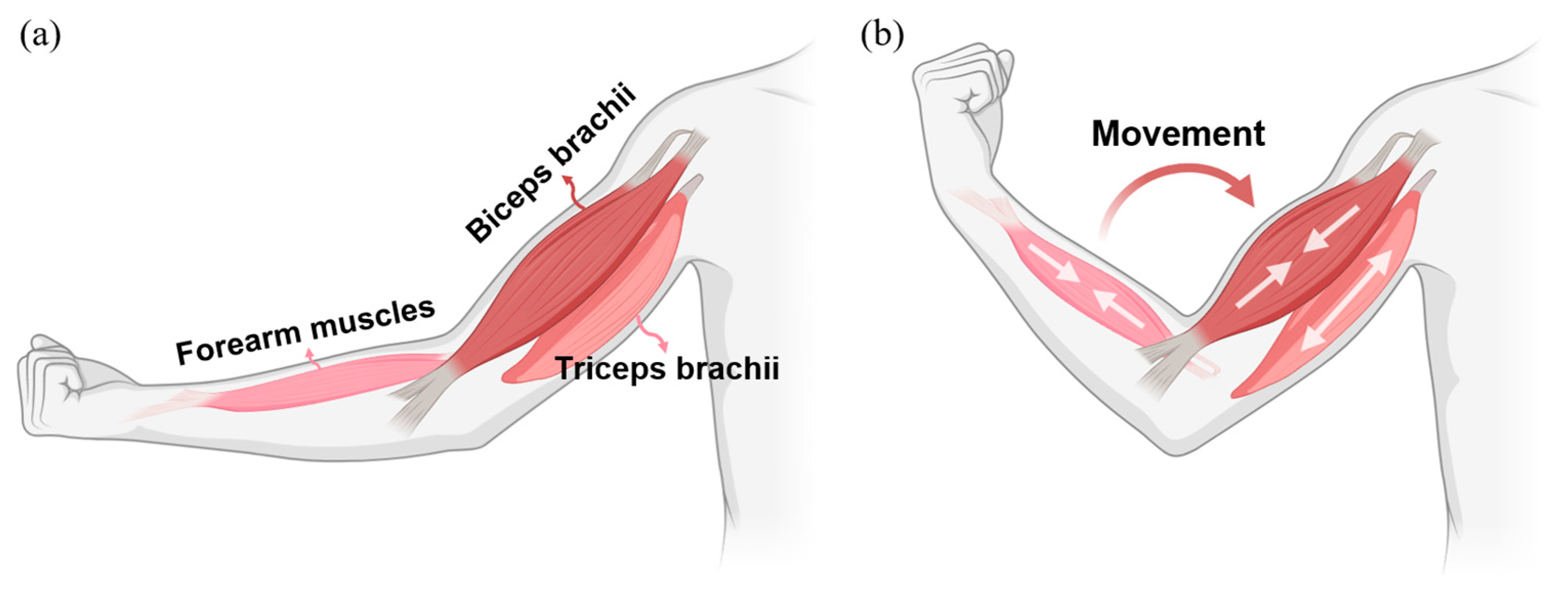 Processes 13 01041 g005
