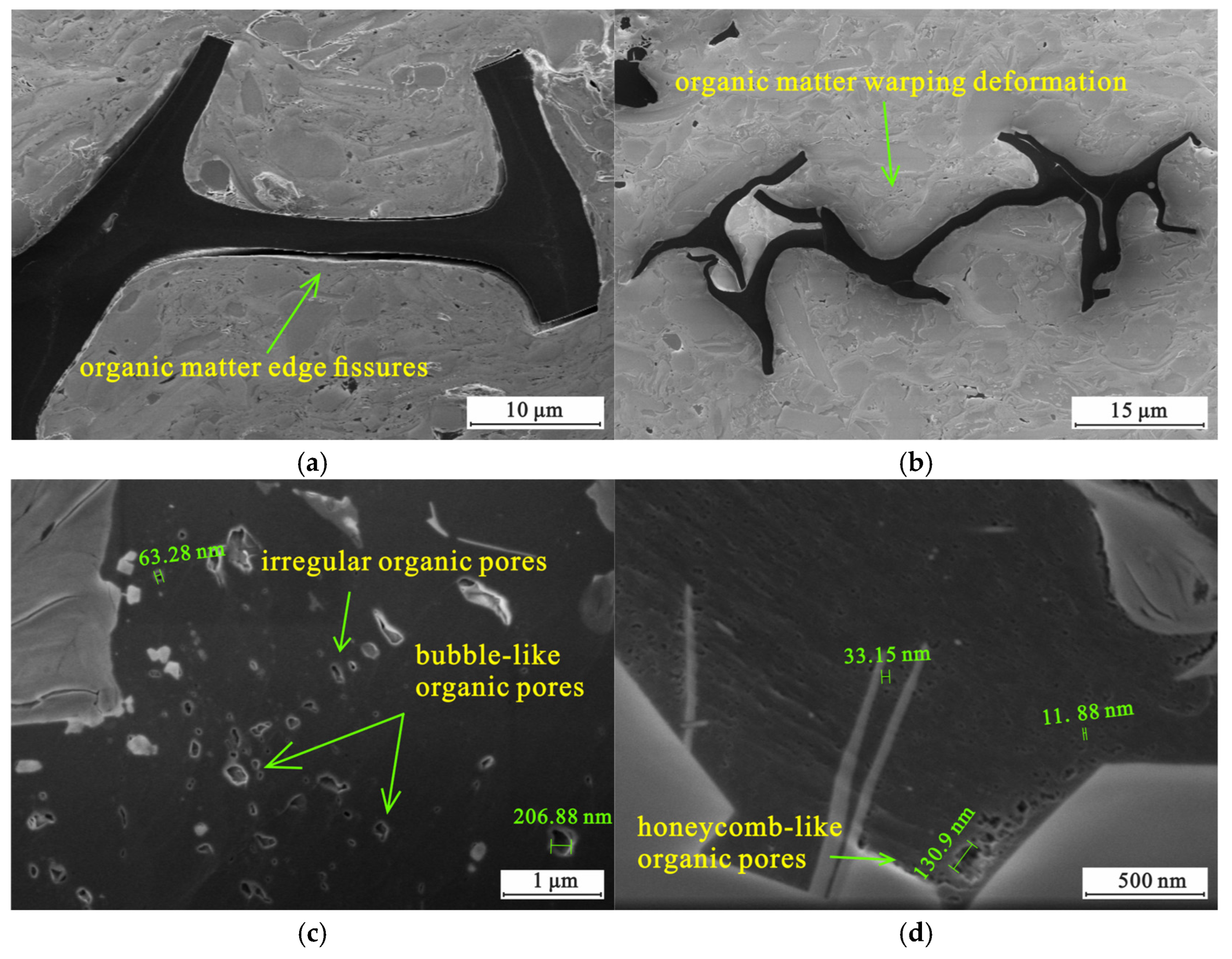 Processes 13 01061 g005