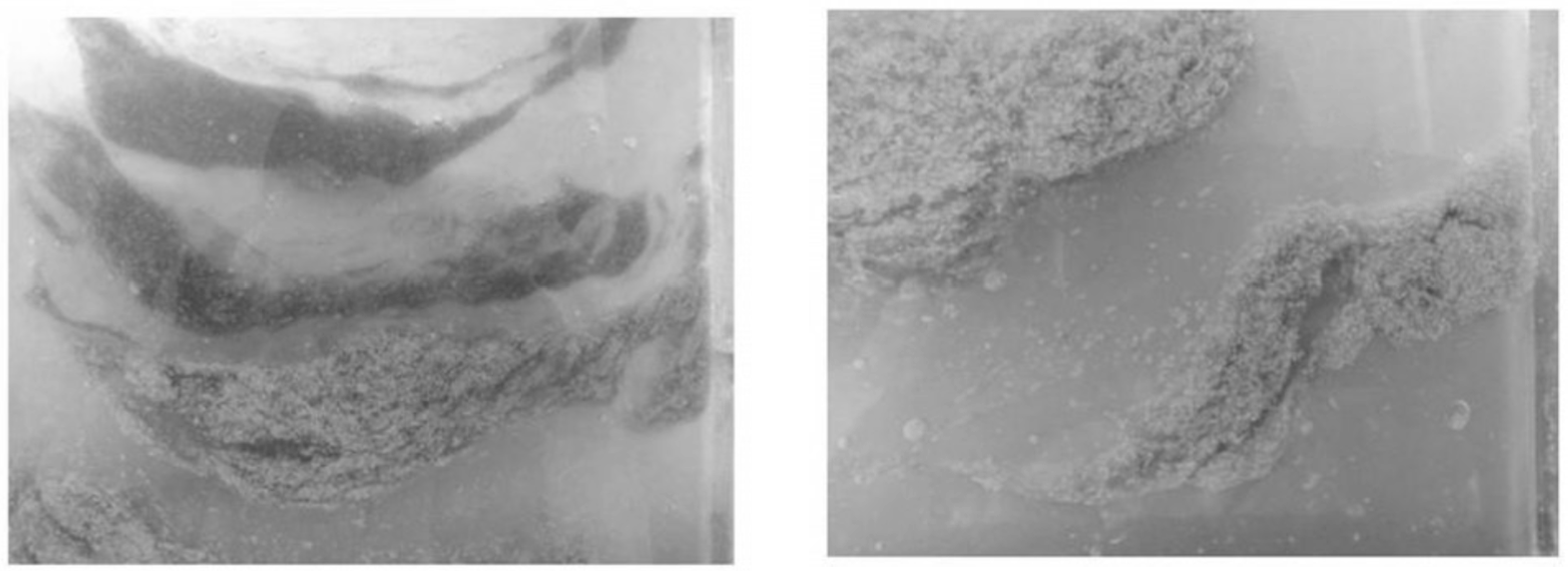 Processes 13 01062 g001