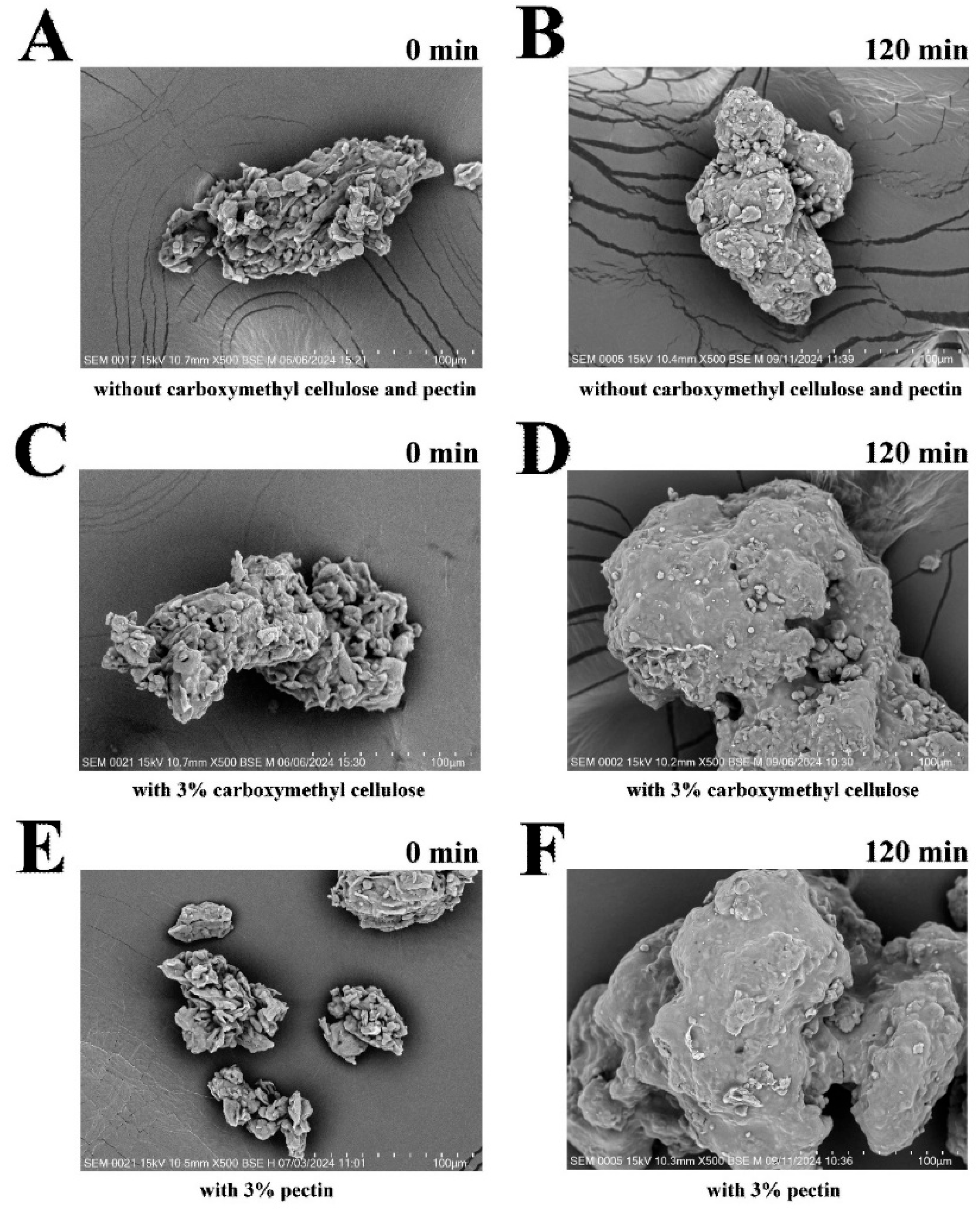 Processes 13 01066 g003