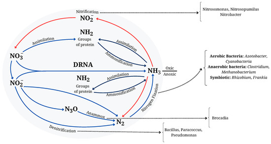 Malodorous Gases in Aquatic Environments: A Comprehensive Review