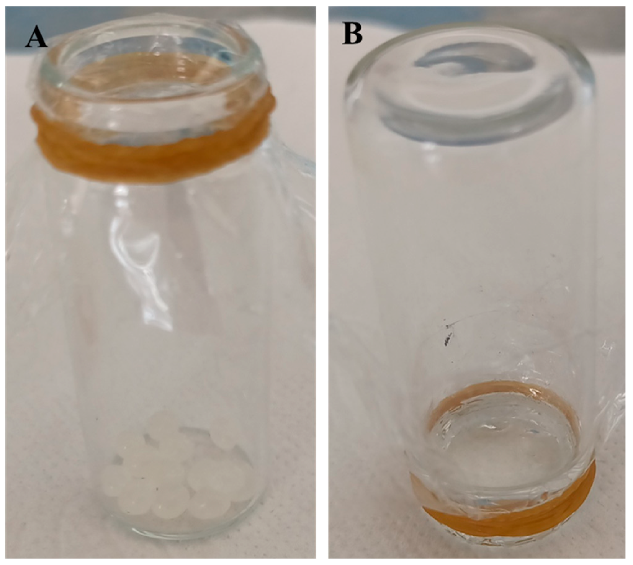 Processes 13 01105 g001