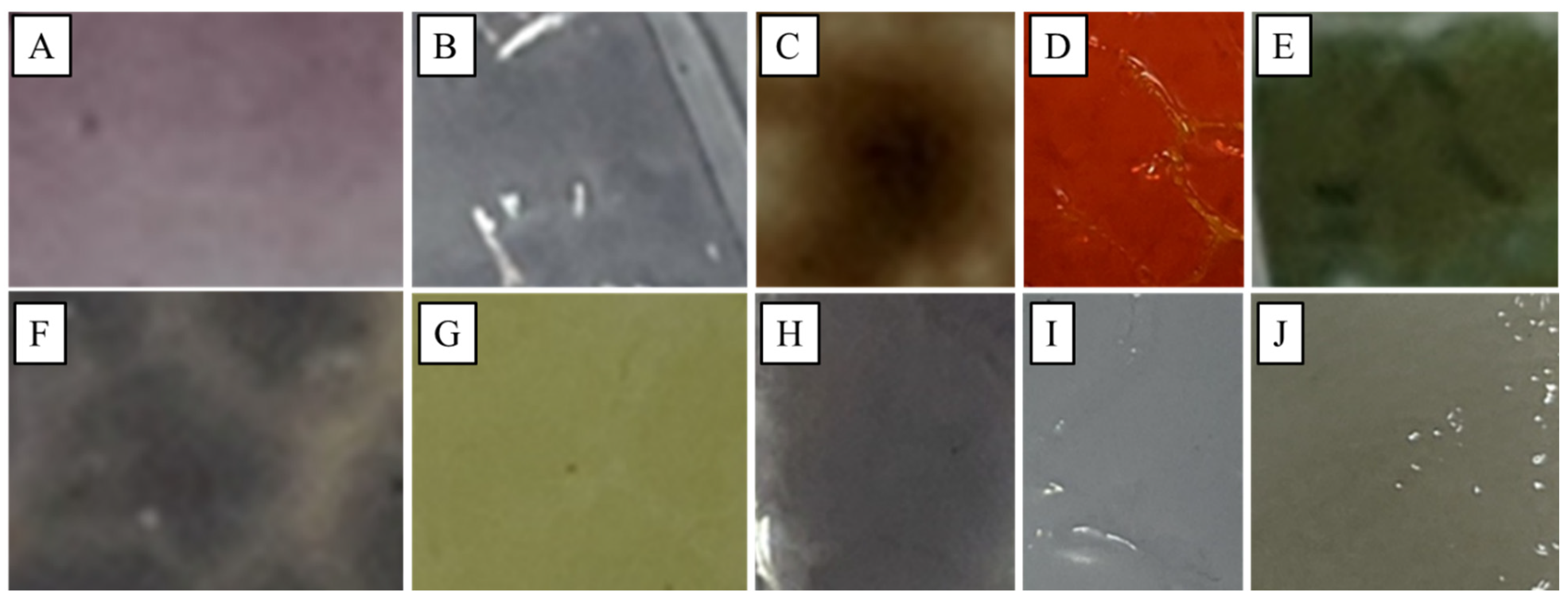 Processes 13 01105 g002