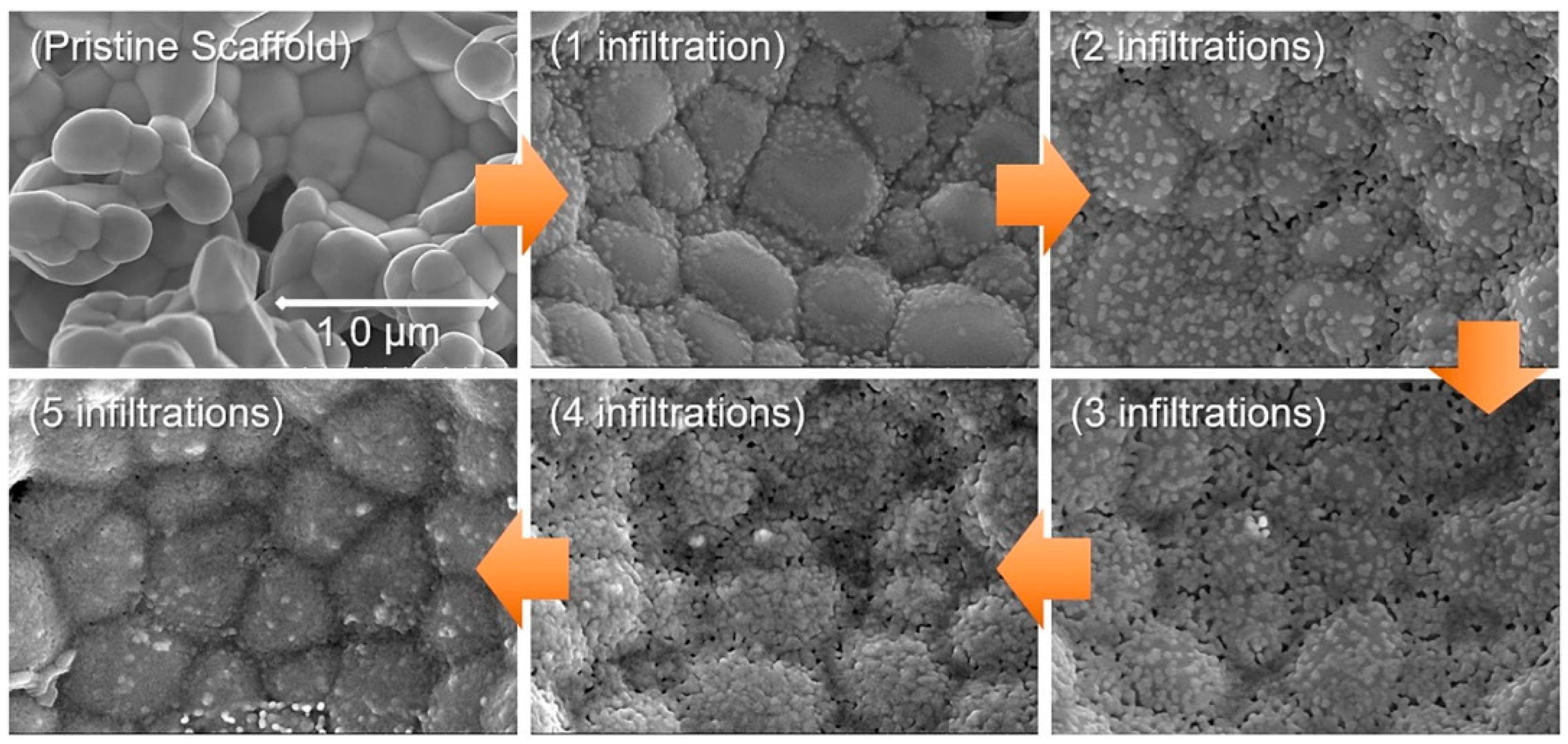 Processes 13 01145 g010
